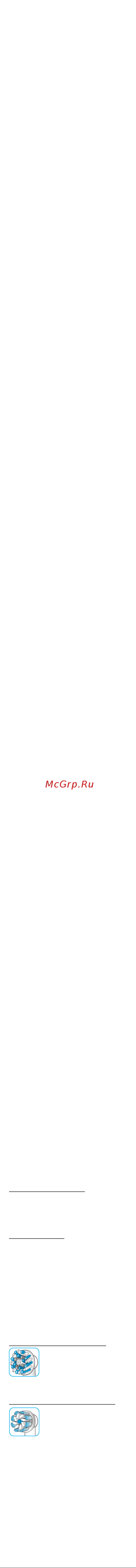 Braun Oral-B Vitality D100.413.2K Mickey Red [10/24] Business use p g authorized poa 00115619 rev 001 effective date 2019 03 21 printed 2019 04 24 page 9 of 24
