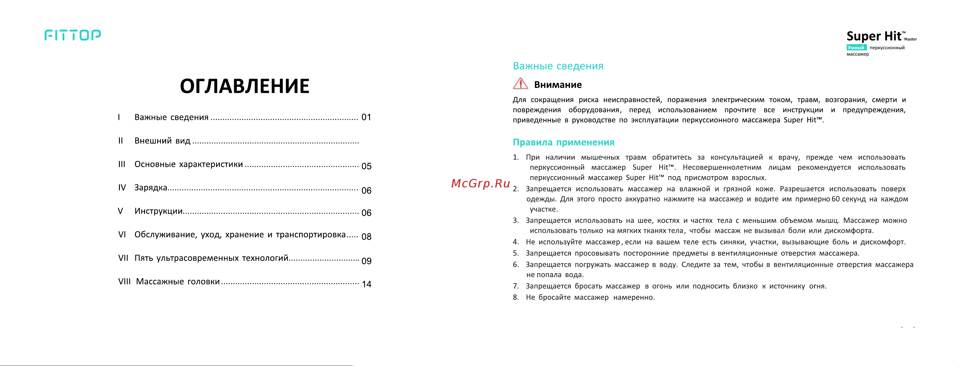 FitTop SuperHit Master FSM931 Руководство по эксплуатации онлайн [2/10] 786241