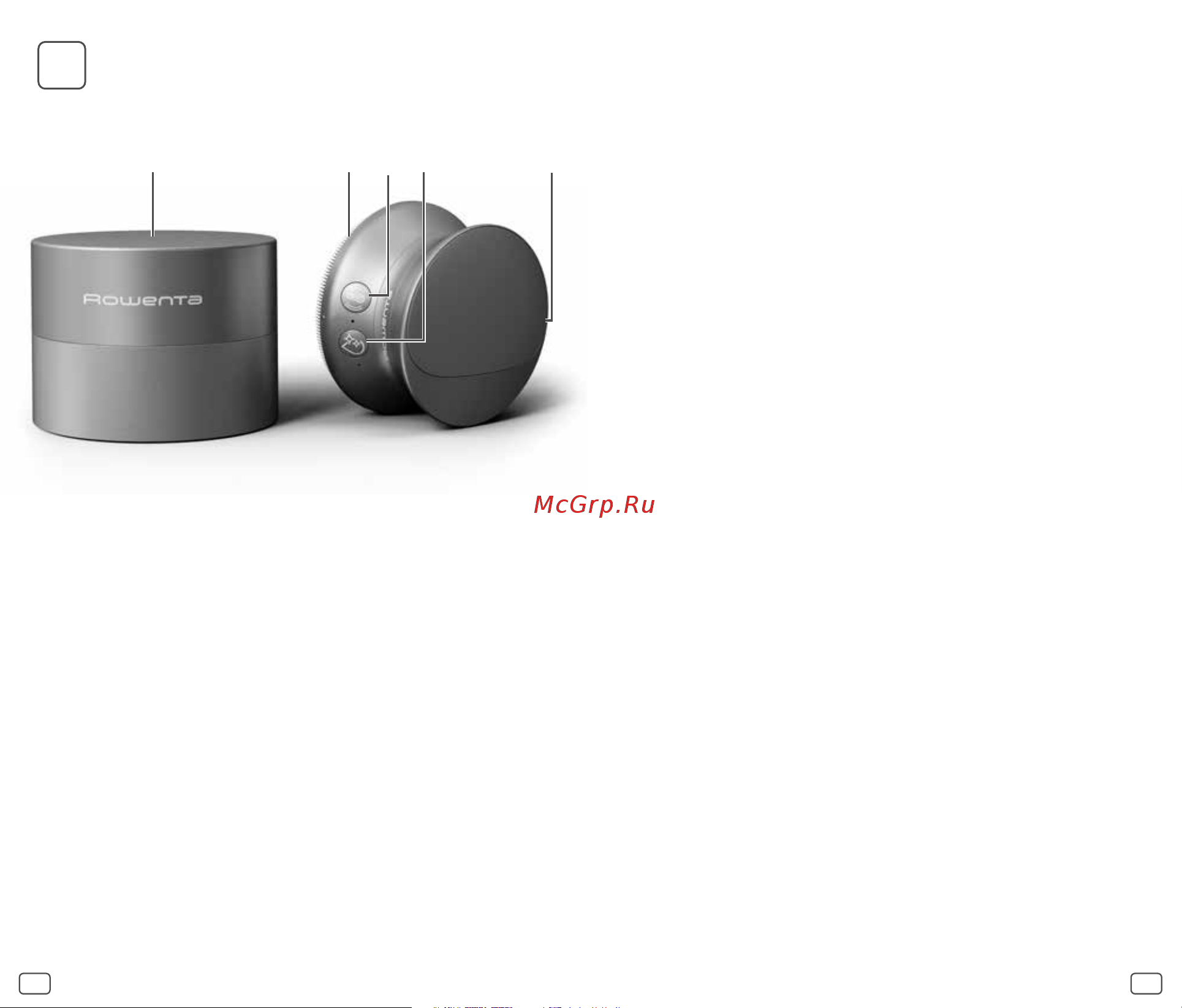 Rowenta Reset & Boost Skin Duo (LV8530F0) Руководство по эксплуатации онлайн [29/91] 786392