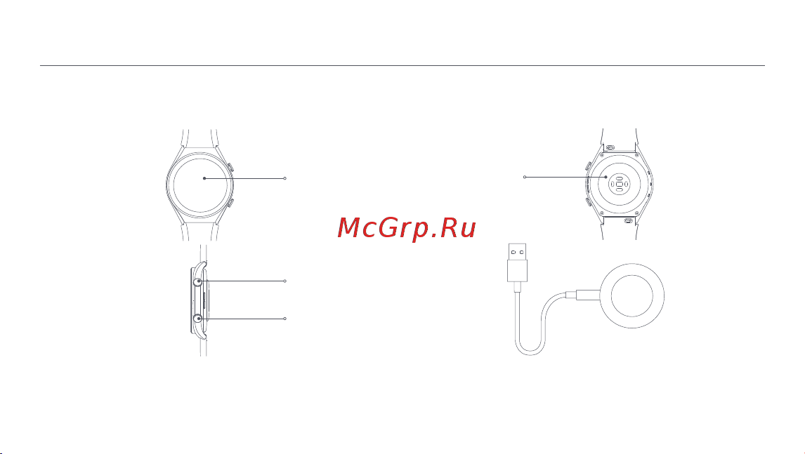 Xiaomi Watch S1 Active GL Space Black (BHR5380GL) [271/288] ﺞﺘﻨﻤﻟا لﻮﺣ ﺔﻣﺎﻋ ةﺮﻈﻧ