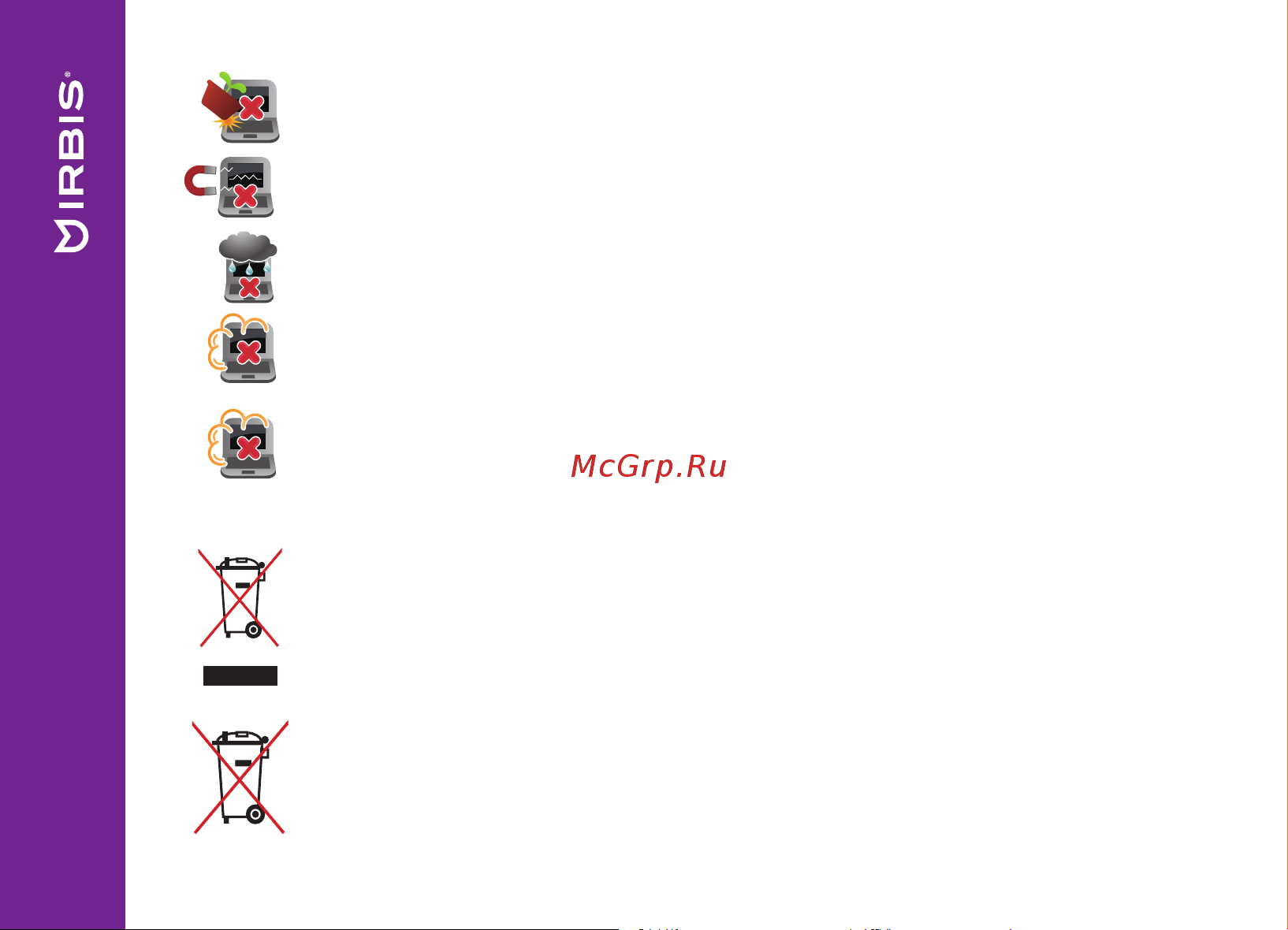 Irbis NB290 [4/28] Утилизация
