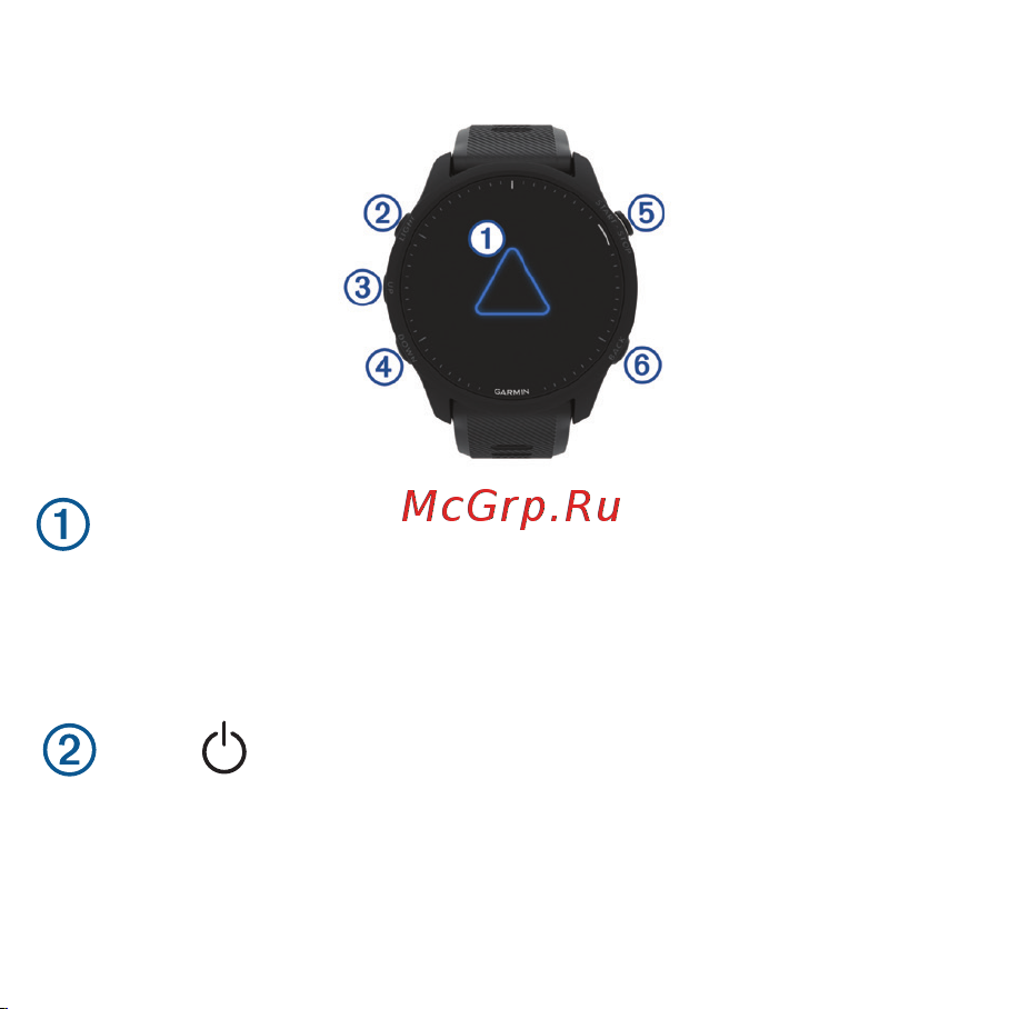 Garmin Forerunner 955 Solar Black (010-02638-20) Руководство по эксплуатации онлайн [4/28] 805451