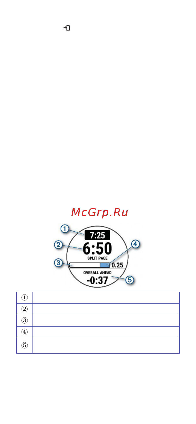 Garmin Forerunner 55 White Руководство по эксплуатации онлайн [22/92] 806828