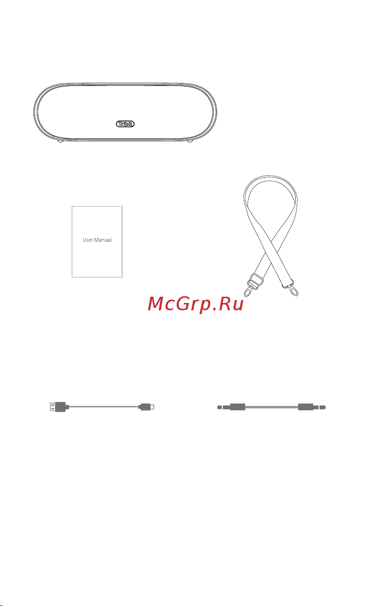 Tribit XSound Mega черный [3/12] Комплектация
