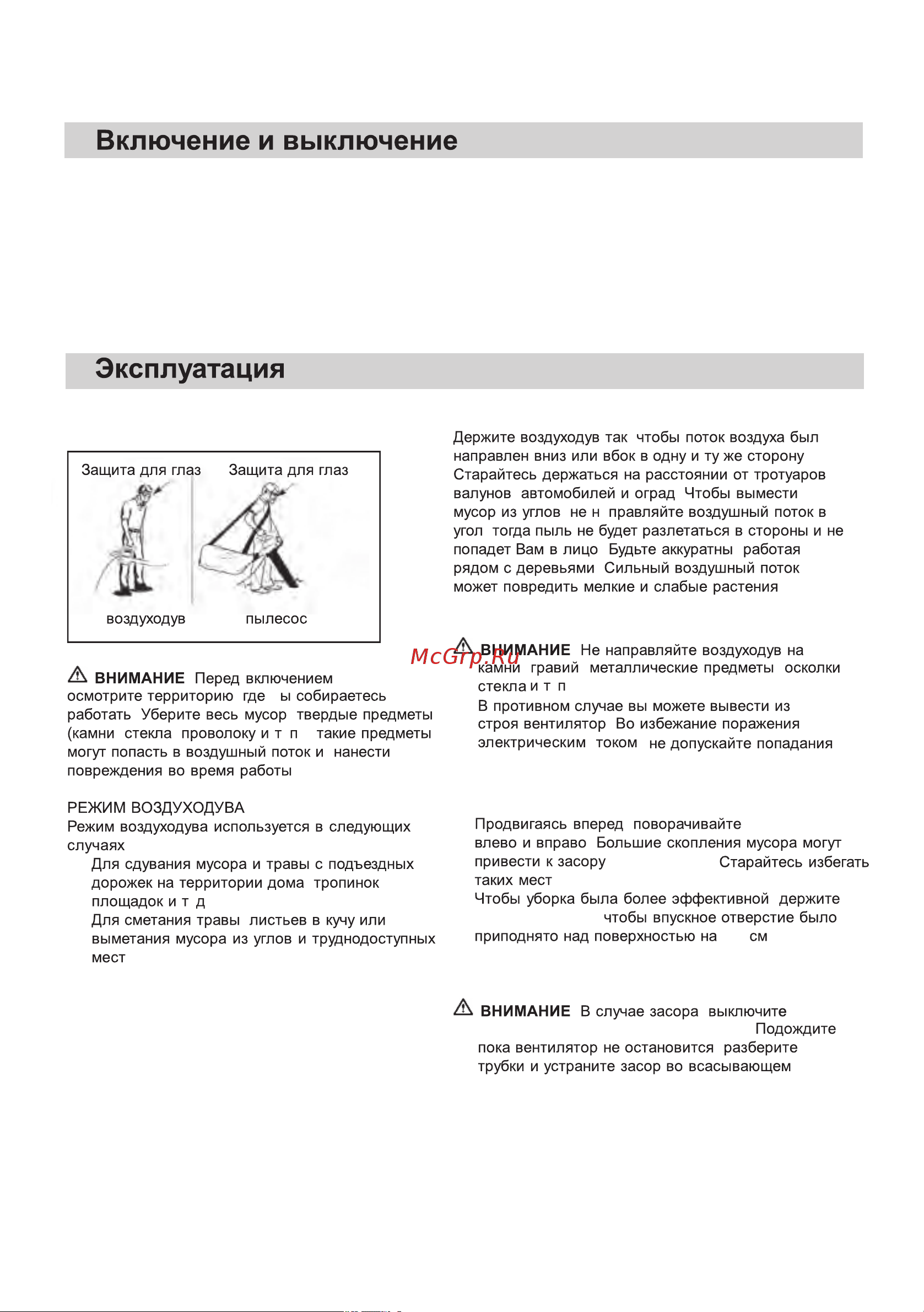 Partner for Garden BE 3000 [7/13] Как держать воздуходувку