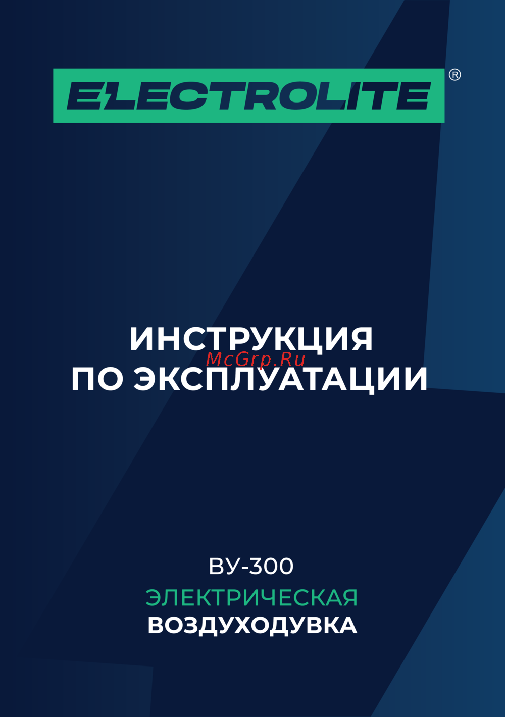 ELECTROLITE  ВУ-300 Руководство по эксплуатации