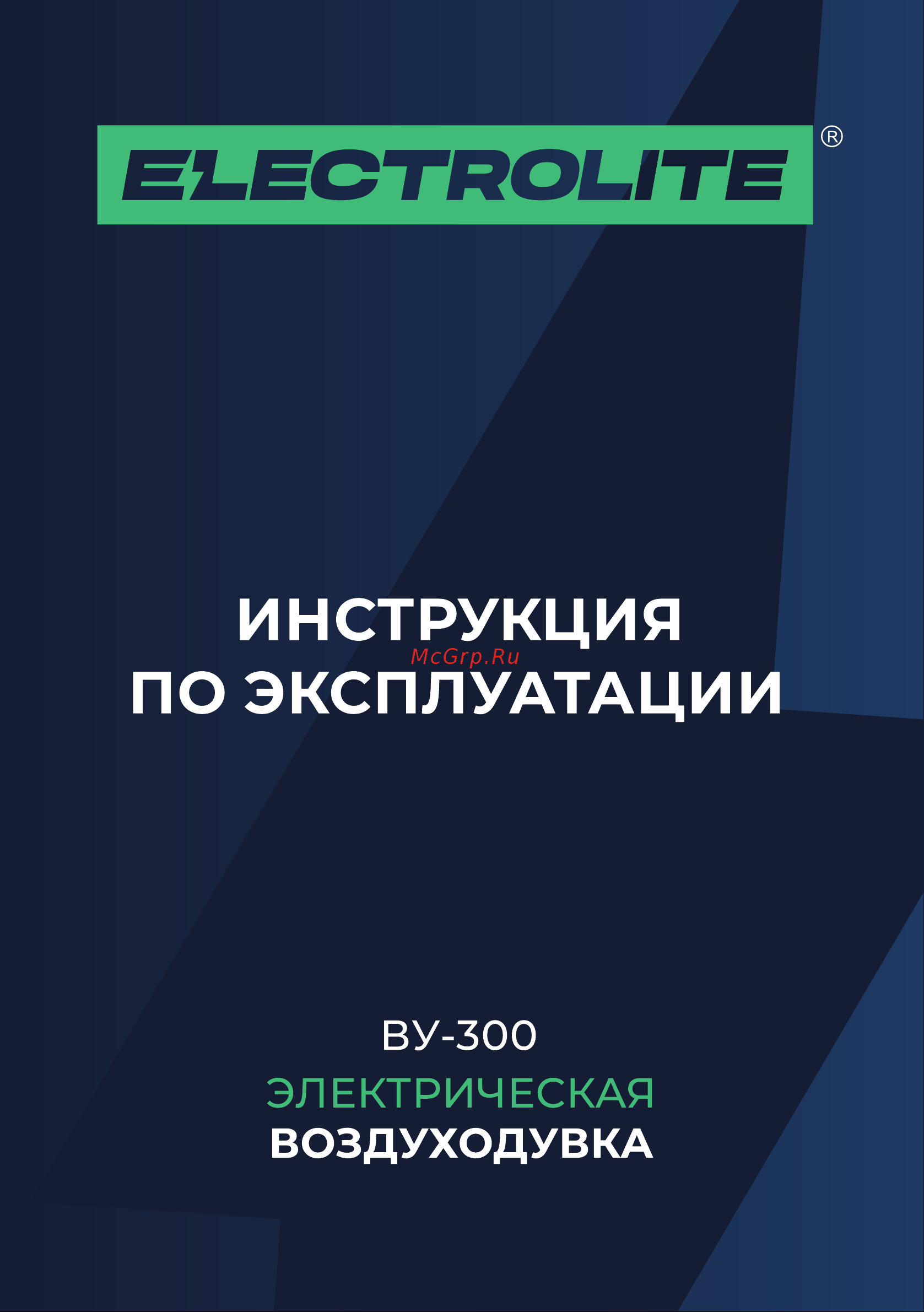 ELECTROLITE  ВУ-300 Руководство по эксплуатации онлайн