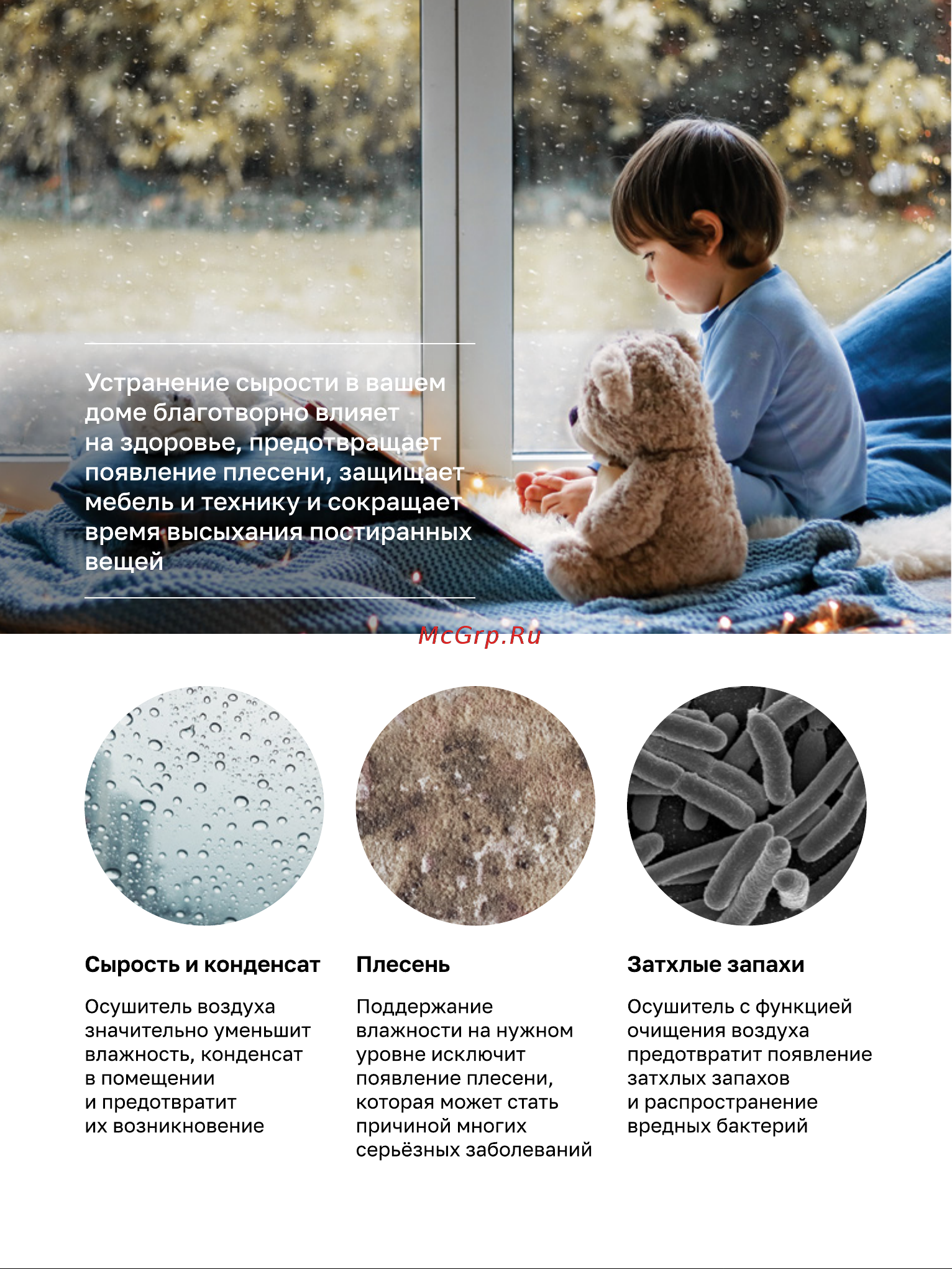 Remez RMD-303 Руководство по эксплуатации онлайн [2/12] 792232