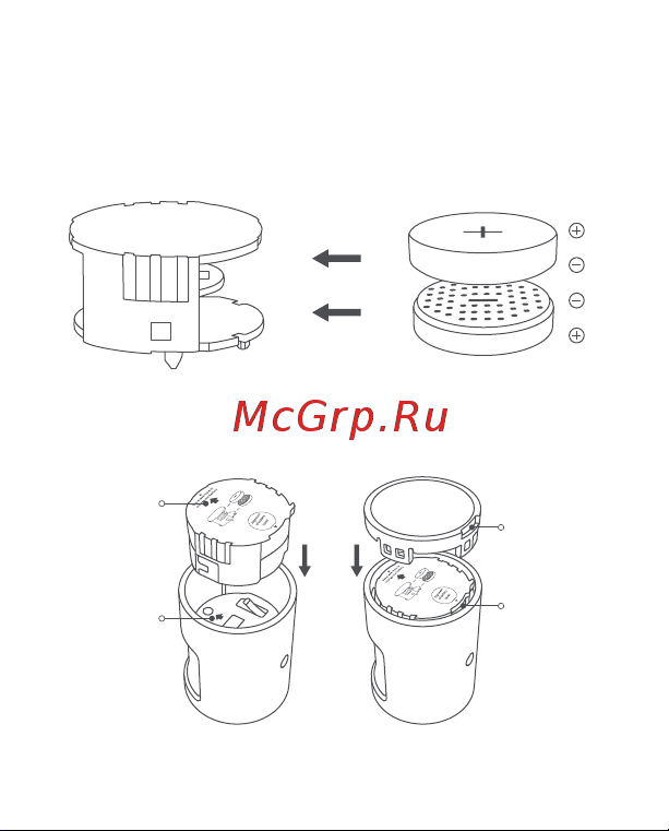 Aqara MS-S02 [10/104] Install two brand new cr2450 button batteries into the battery compartment with one firmly sticking the compartment top on the polar front and the other firmly sticking to the compartment bottom on the polar front