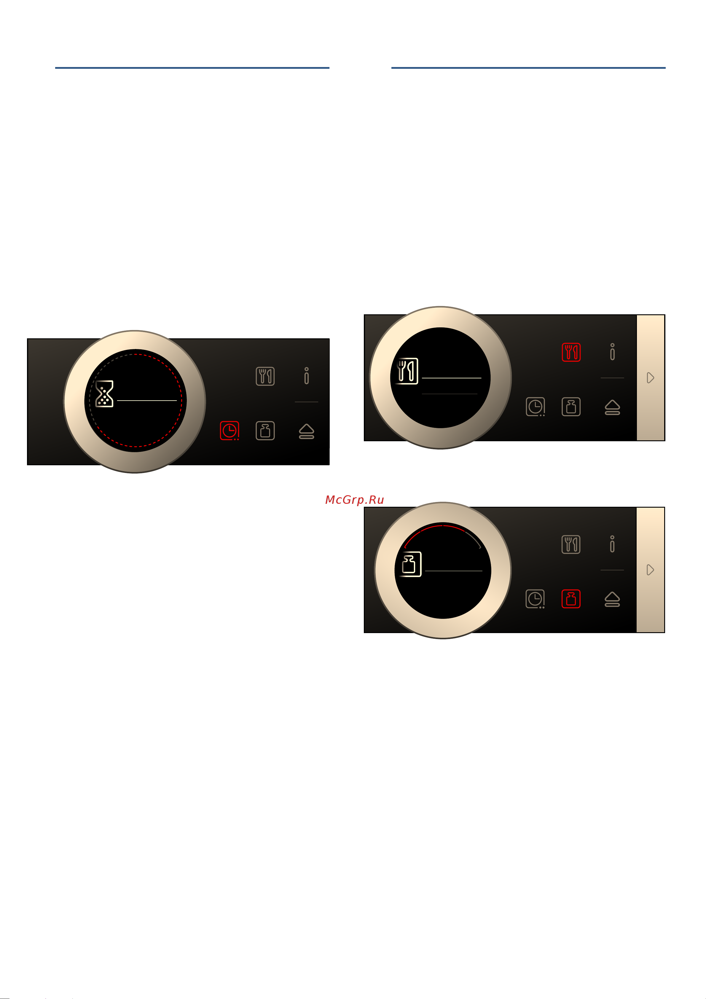 Bosch BFL634GW1 [75/0] Программы