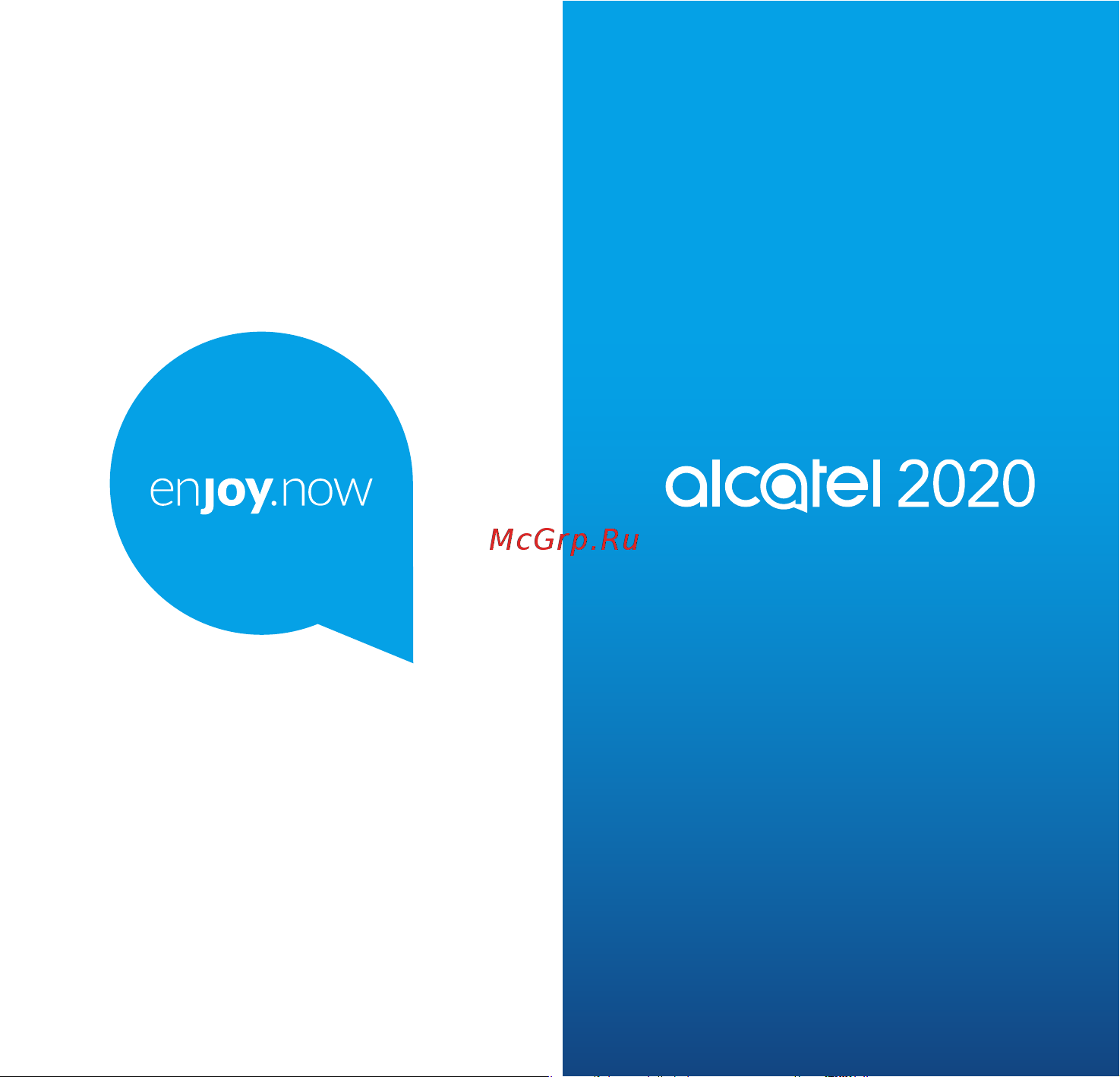 Alcatel 2020X Silver Руководство по эксплуатации онлайн