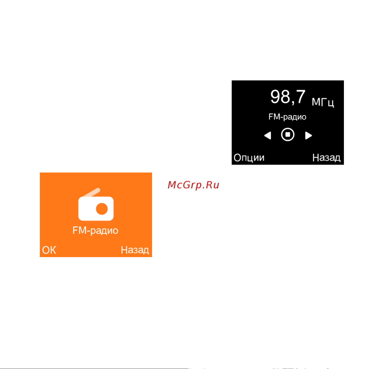 Alcatel 2020X Grey [19/43] Fm ради