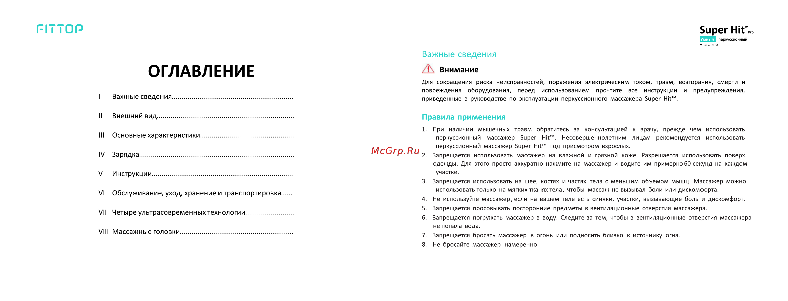 FitTop FSP951 Руководство по эксплуатации онлайн [2/9] 793419