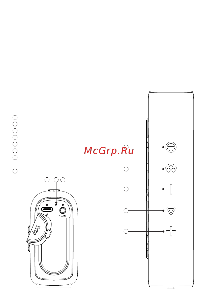 Tronsmart Trip Grey (797550) [23/38] Contenu