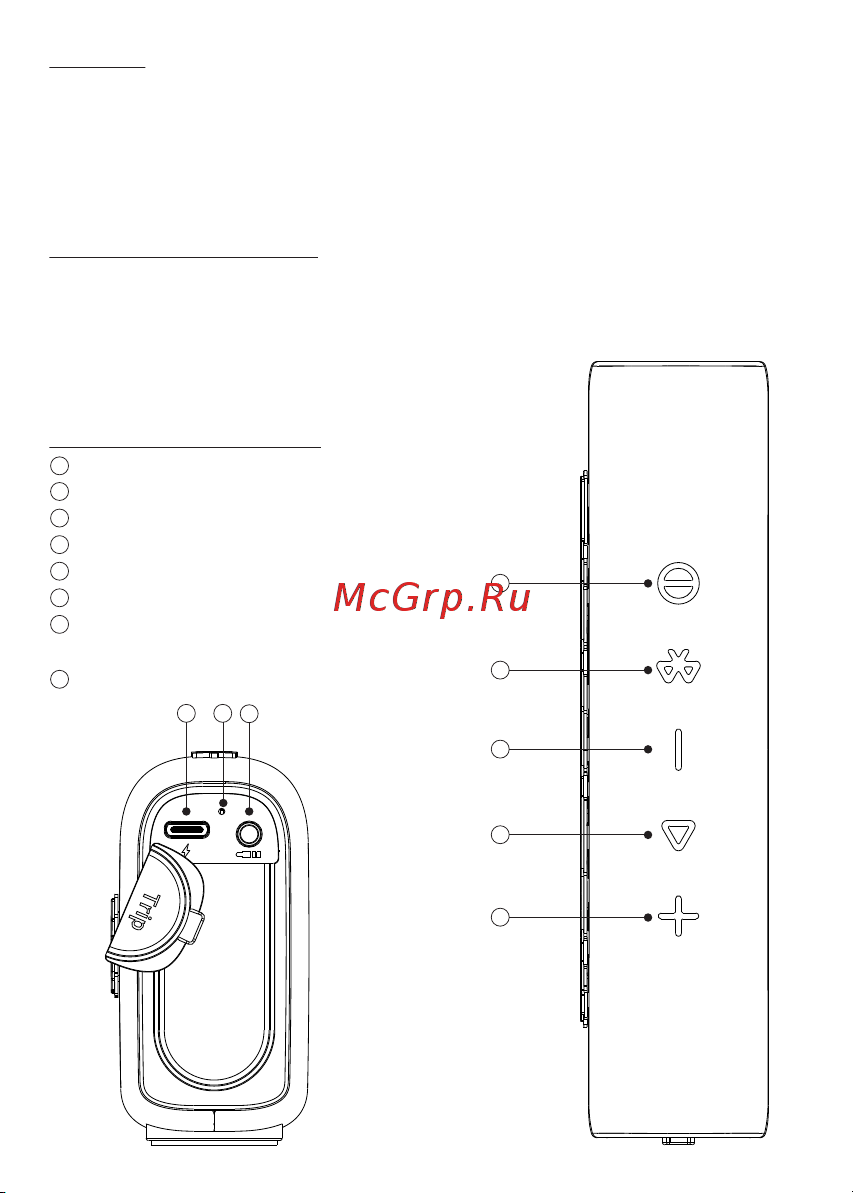 Tronsmart Trip (859946) [28/38] Русский