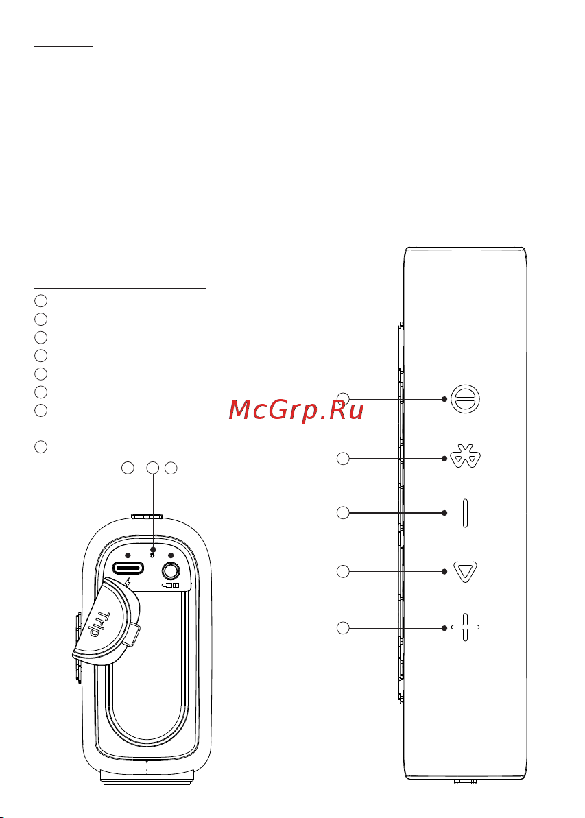 Tronsmart Trip (859946) [8/38] Conﬁgurazione button