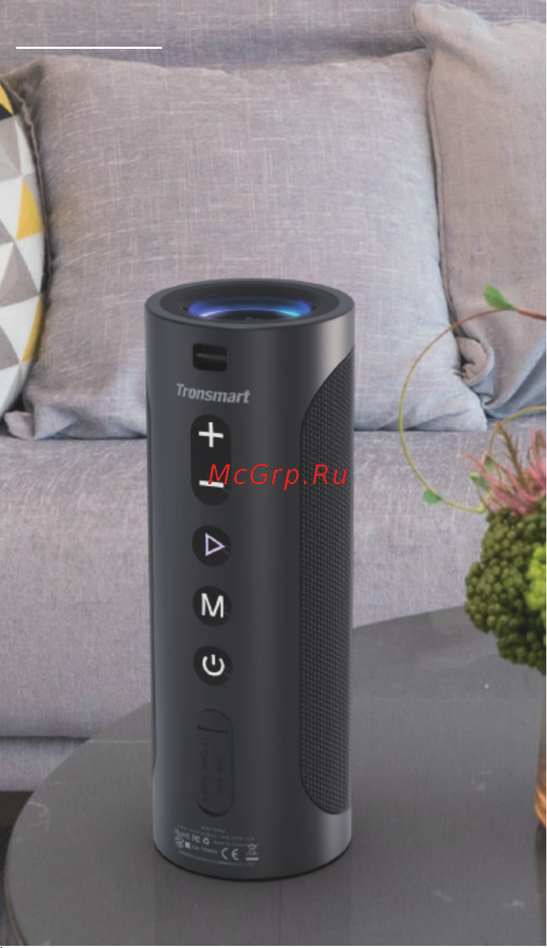 Tronsmart T6 Pro Black (448105) Руководство по эксплуатации онлайн [6/16] 793715