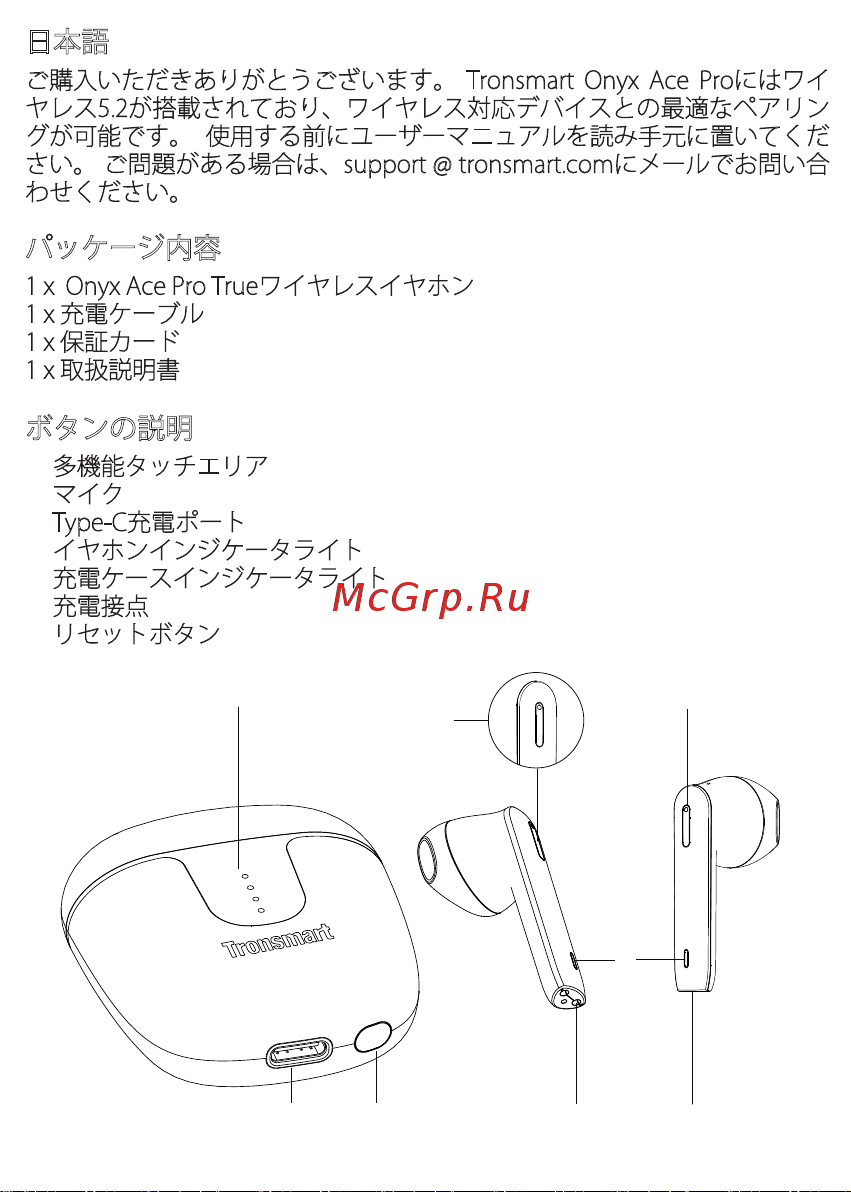 Tronsmart Ace Pro Black (799876) [40/46] パッケージ内容