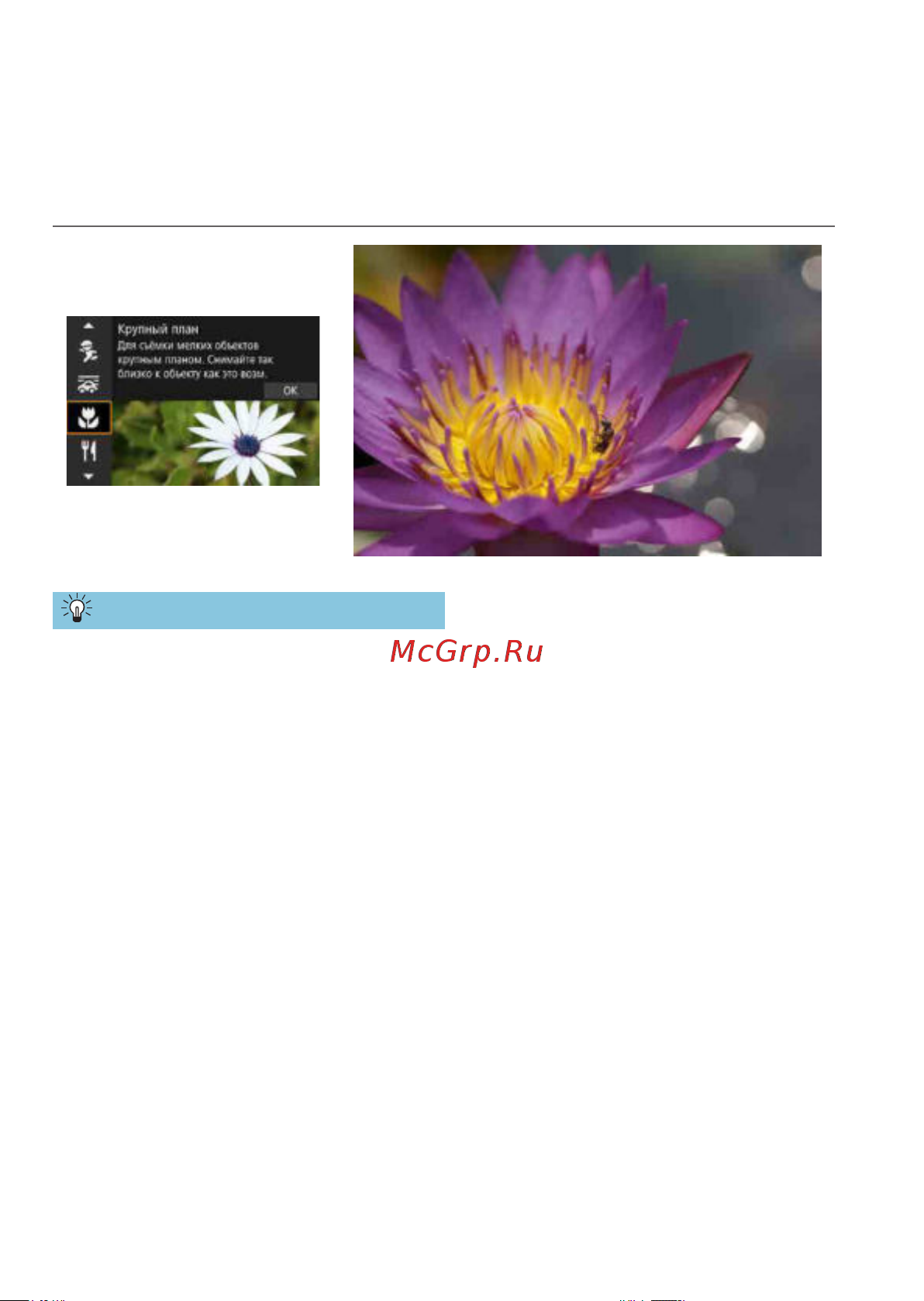 Canon EOS RP Kit RF 24-105mm F4-7.1 IS STM Bl [84/614] Съемка крупным планом
