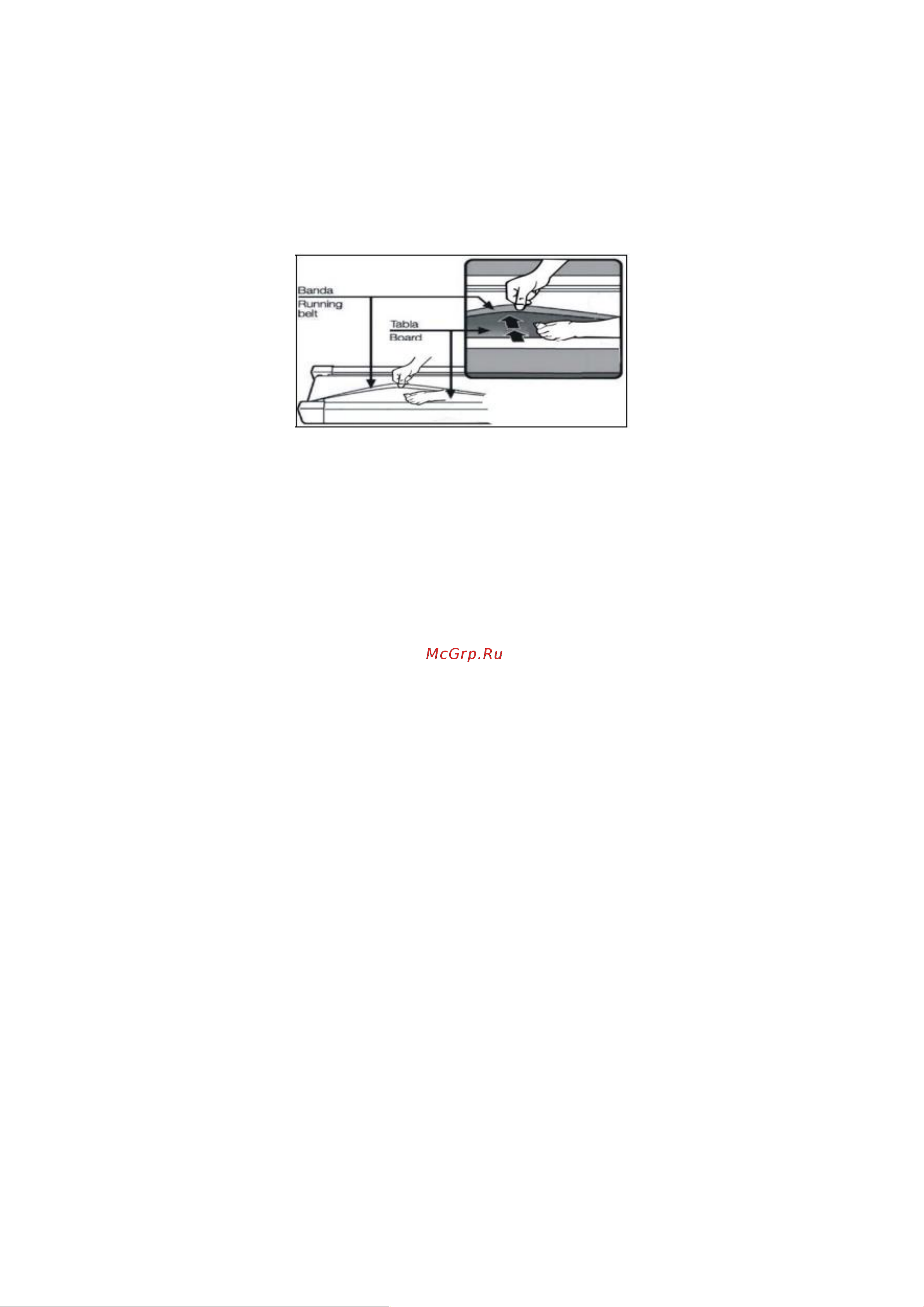BH Fitness PIONEER_R5_TFT Руководство по эксплуатации онлайн [7/37] 796040