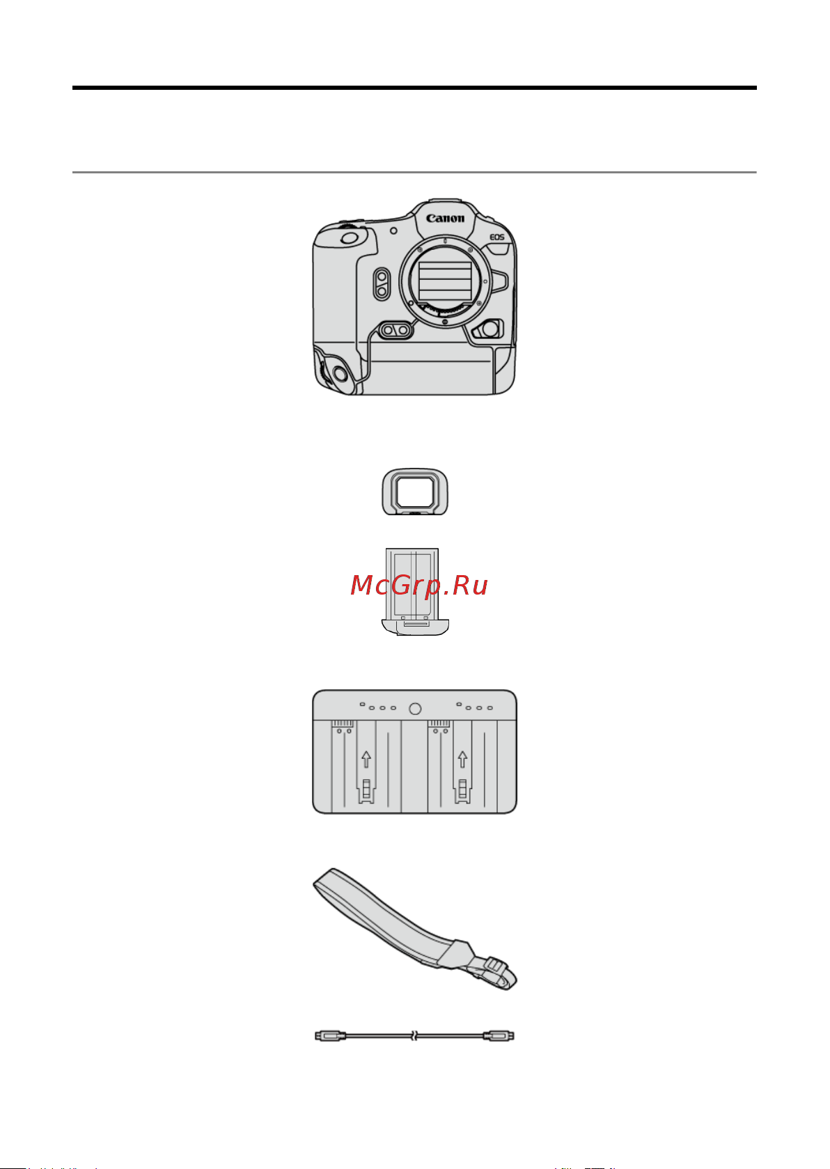 Canon EOS R3 Body Black [10/1085] Комплект поставки