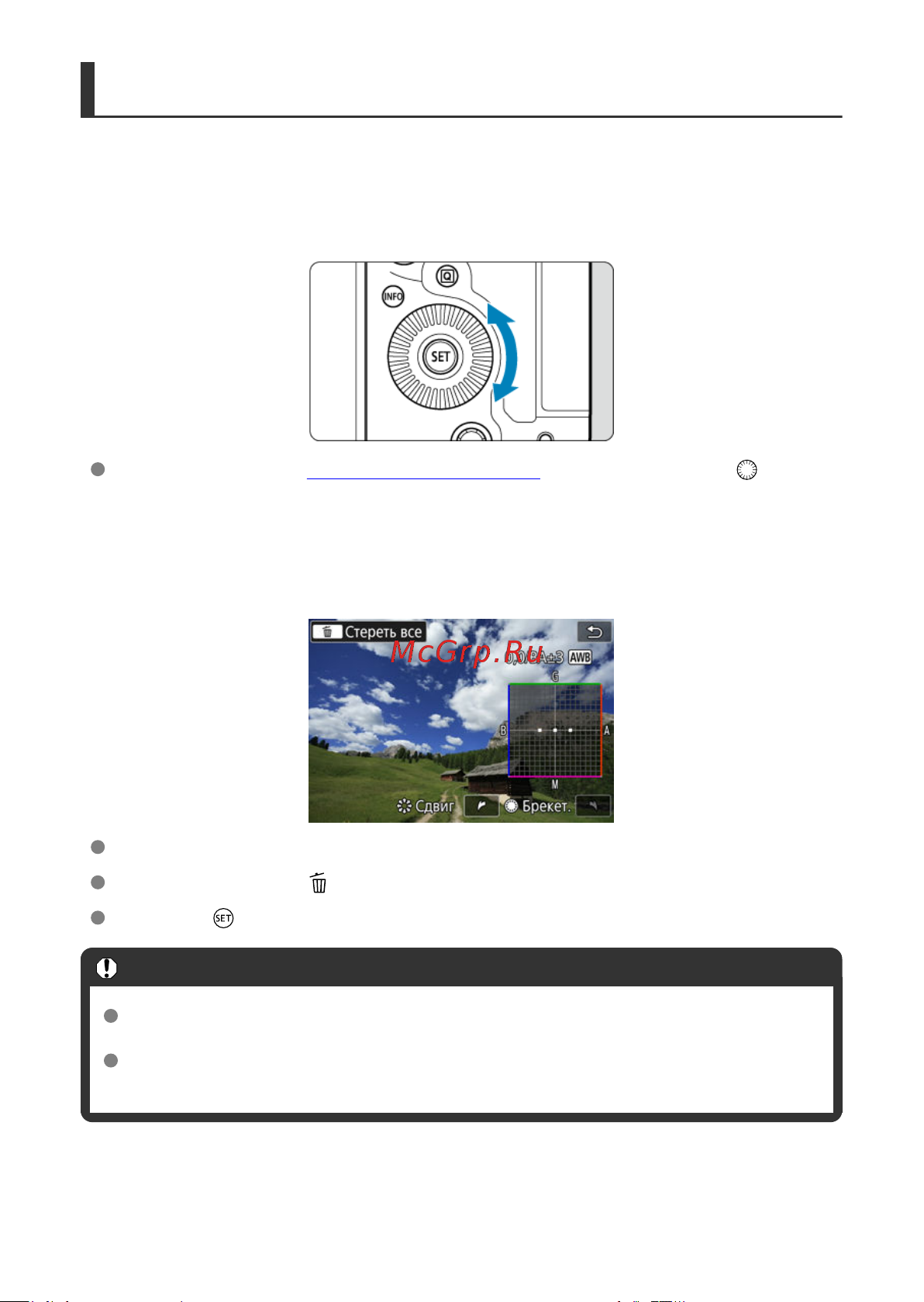 Canon EOS R3 Body Black [246/1085] Автоматический брекетинг баланса белого