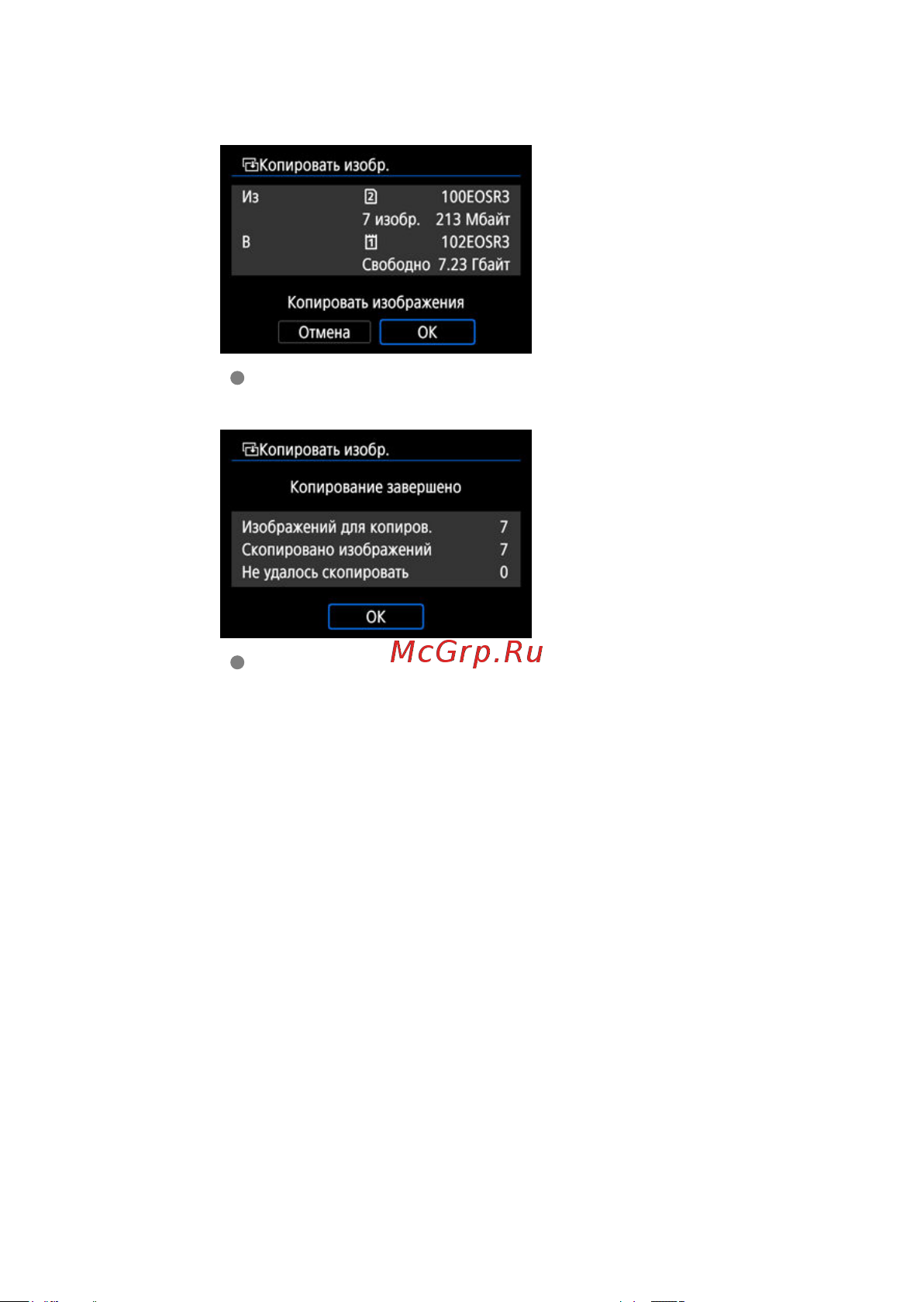 Canon EOS R3 Body Black Руководство по эксплуатации онлайн [573/1085] 796181