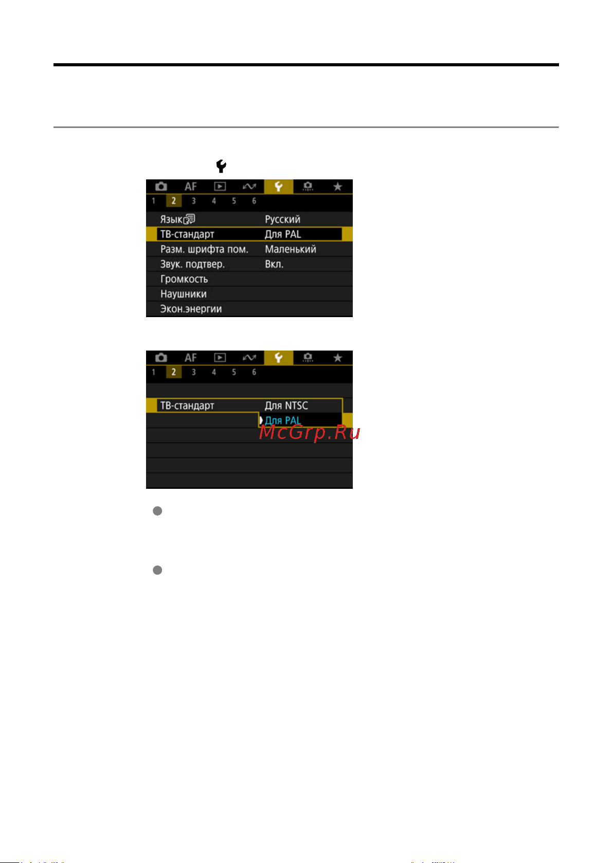 Canon EOS R3 Body Black [913/1085] Тв стандарт