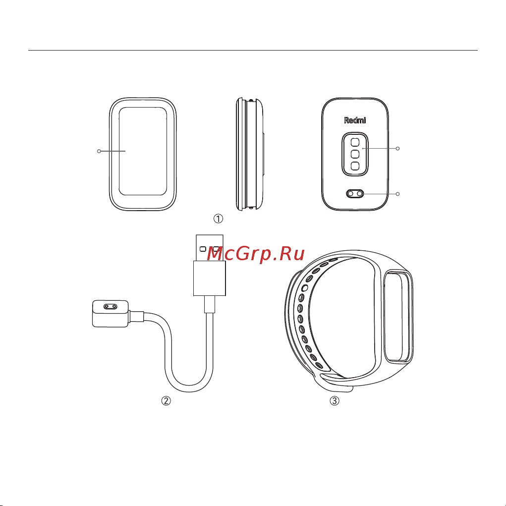 Redmi Smart Band 2 GL черный [33/114] Produktübersicht
