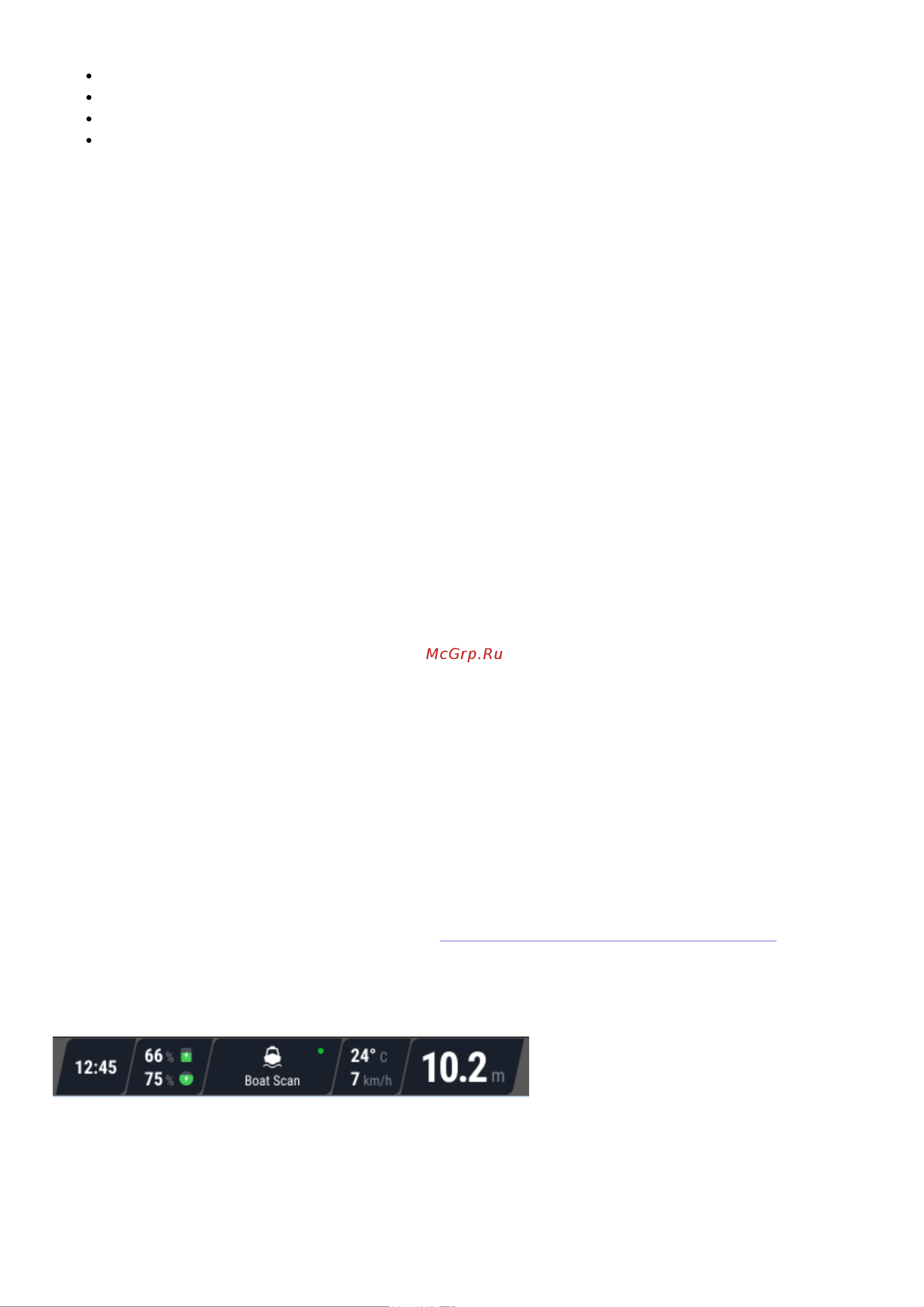 Deeper DP4H10S102 фонарь и держатель для смартфона в комплекте [50/105] Строка состояния