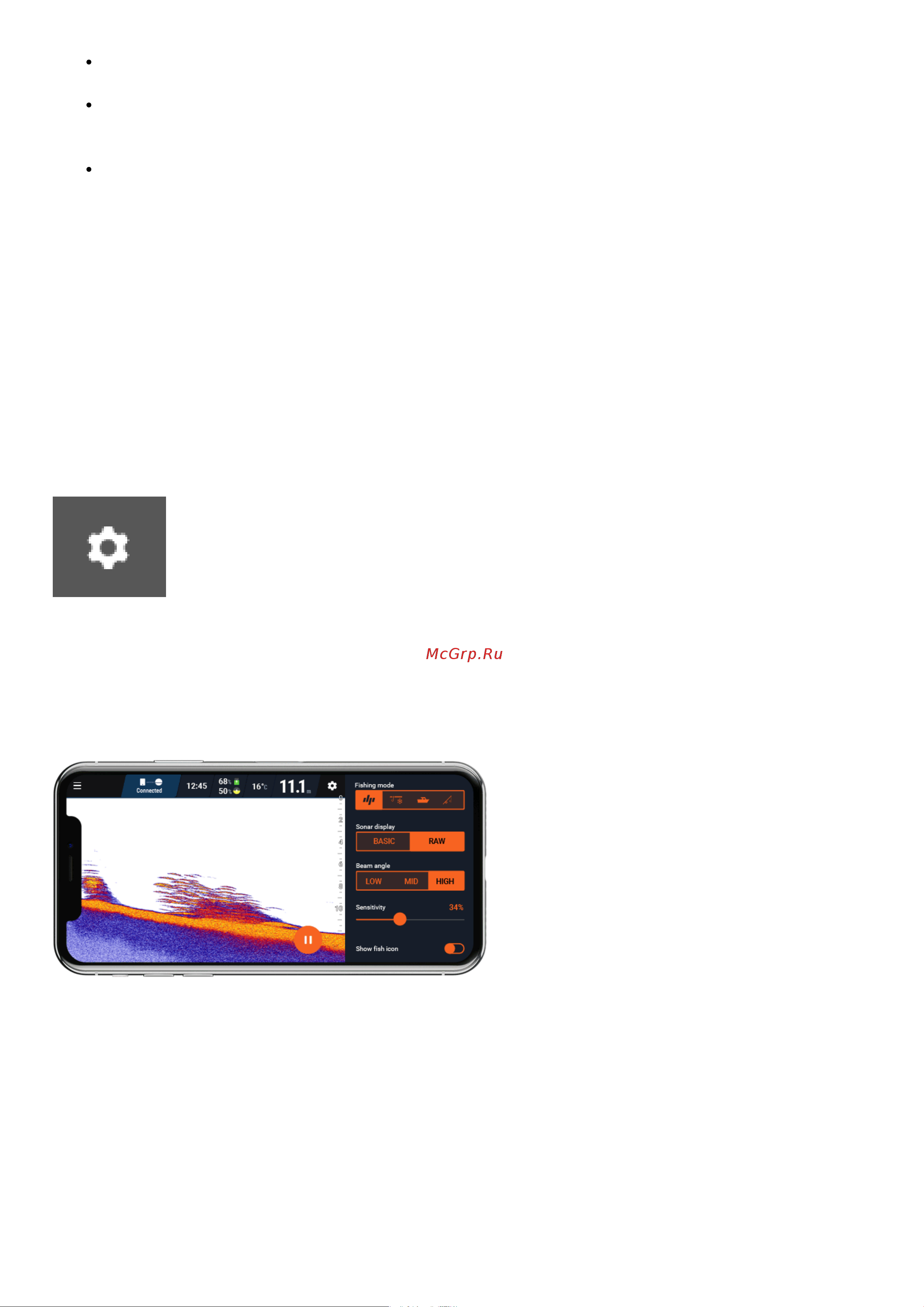 Deeper DP4H10S102 фонарь и держатель для смартфона в комплекте [62/105] Настройки эхолота
