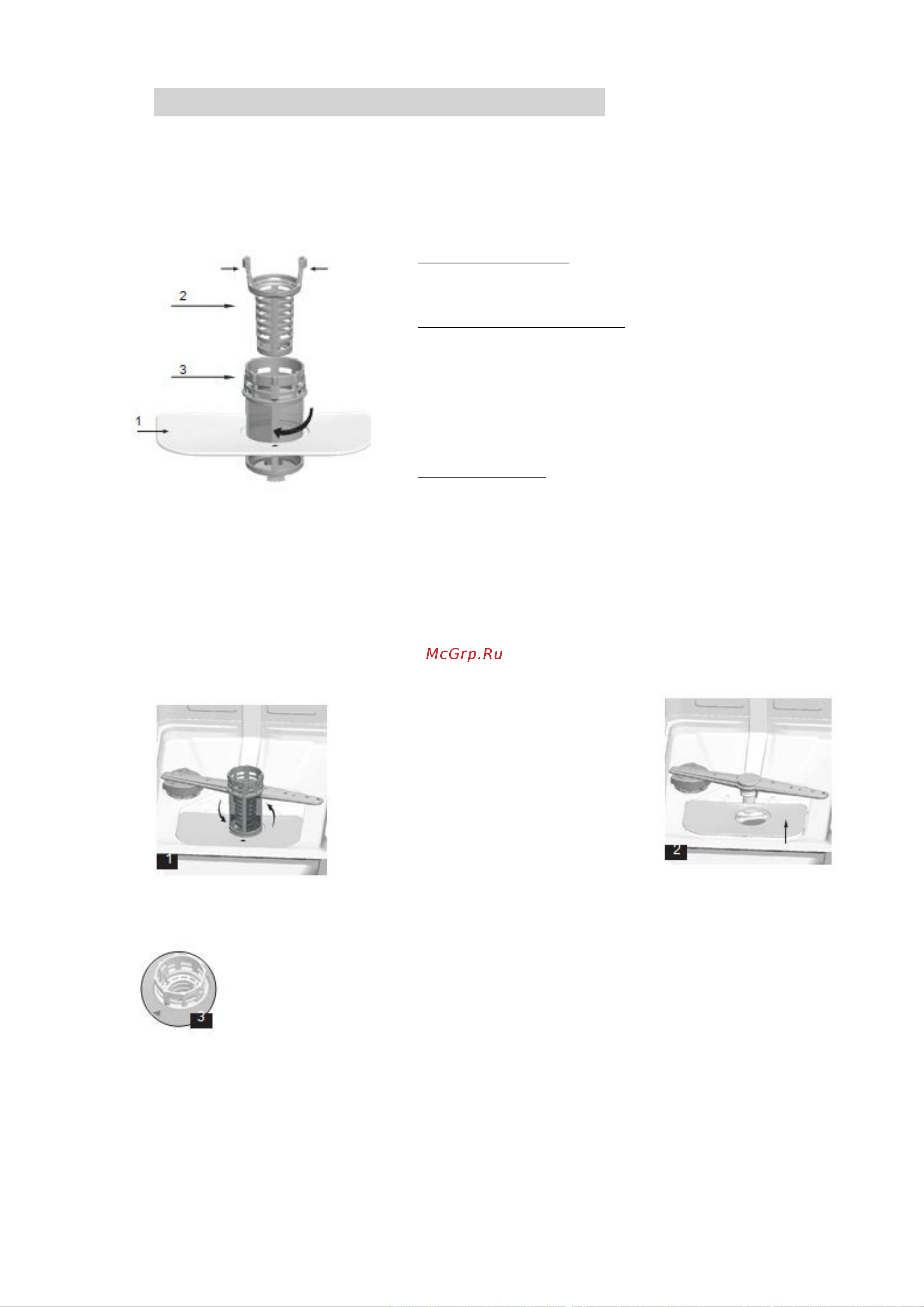 Zigmund & Shtain DW 301.4 [19/24] Техническое обслуживание и очистка