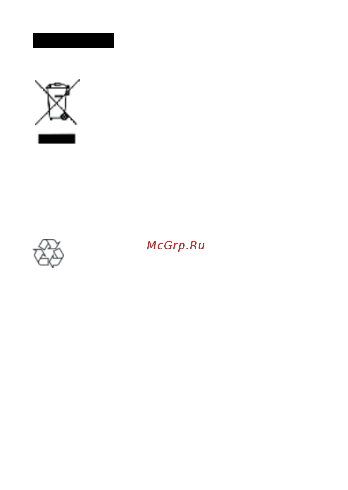 MARGE HS-101GY Graphite [19/20] Утилизация
