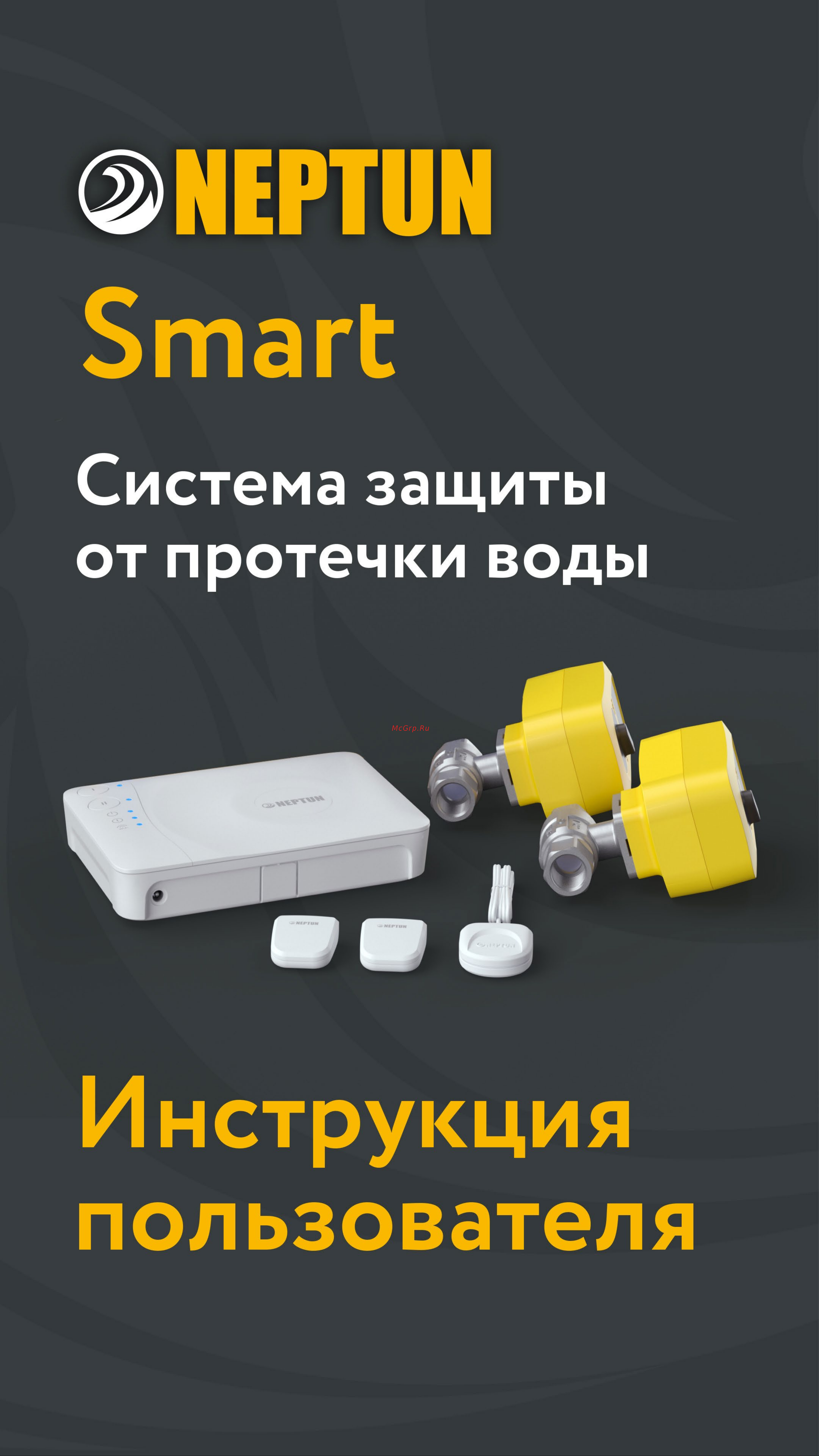 Нептун Bugatti Smart 3/4