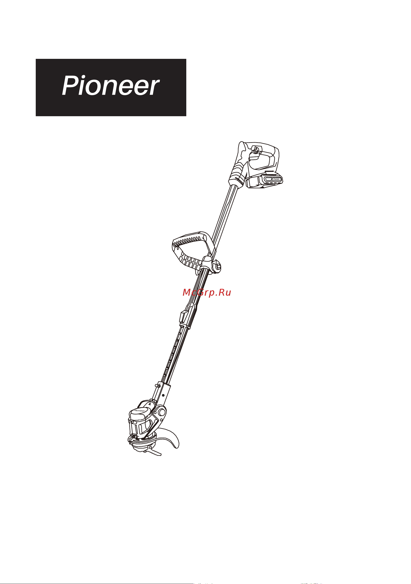 Pioneer BGT-20V20-02 с 2-мя АКБ и ЗУ Руководство по эксплуатации онлайн