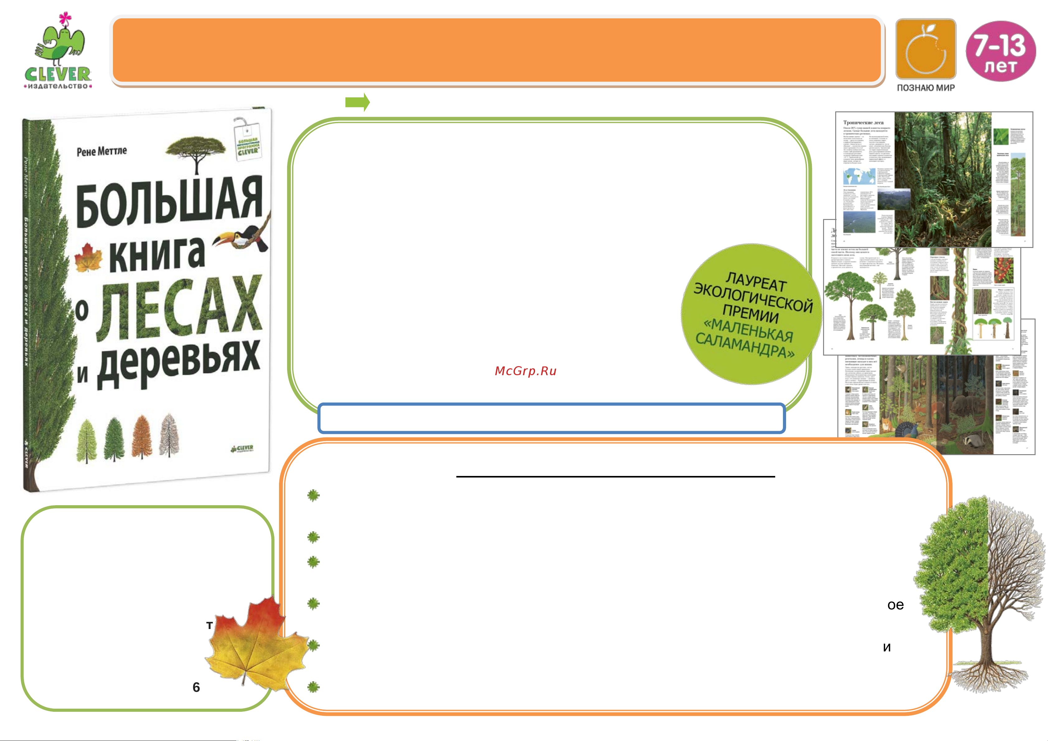 Clever Большая книга о лесах и деревьях Руководство по эксплуатации онлайн