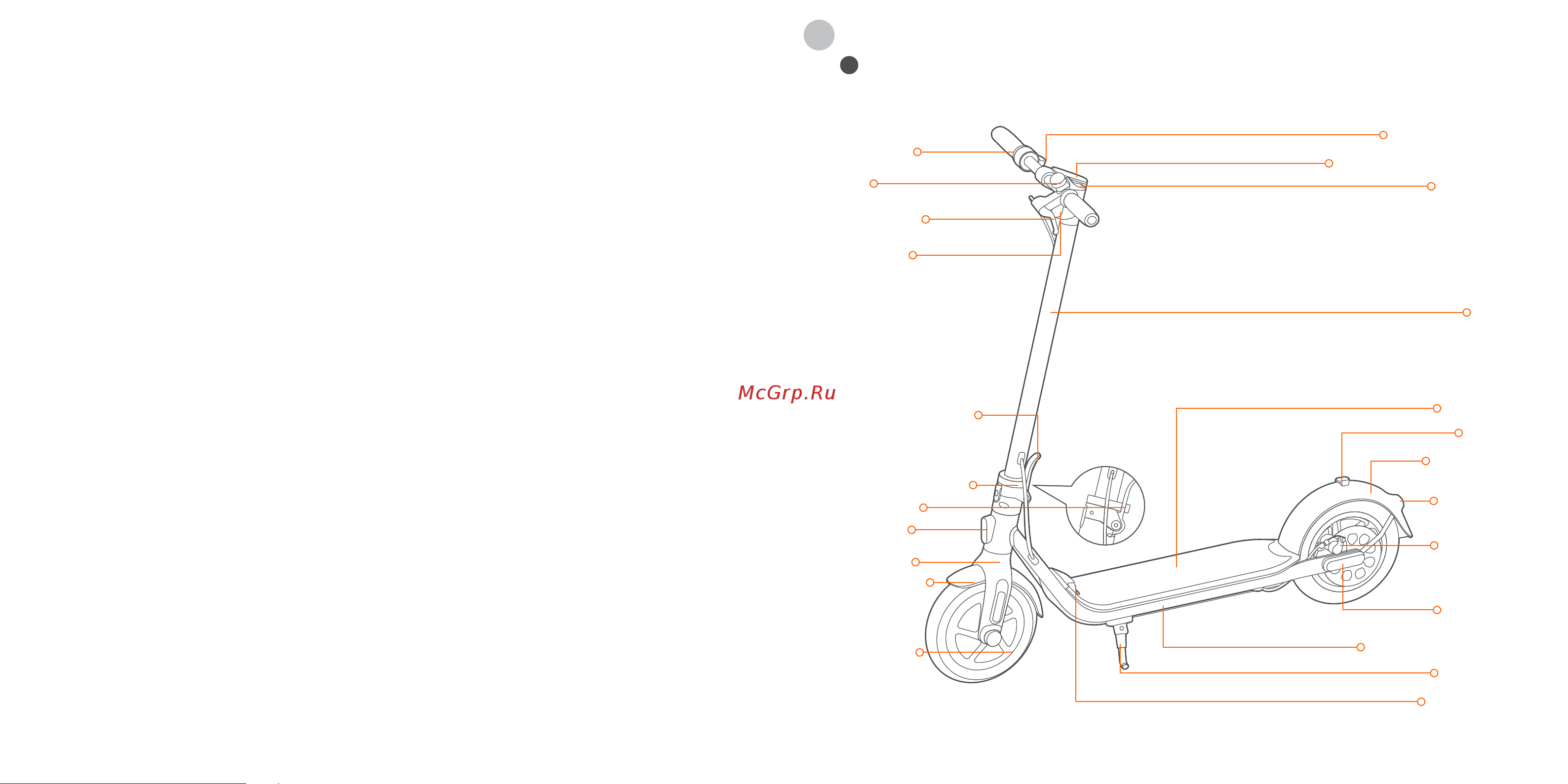Ninebot by Segway KickScooter F30P [2/19] Diagram
