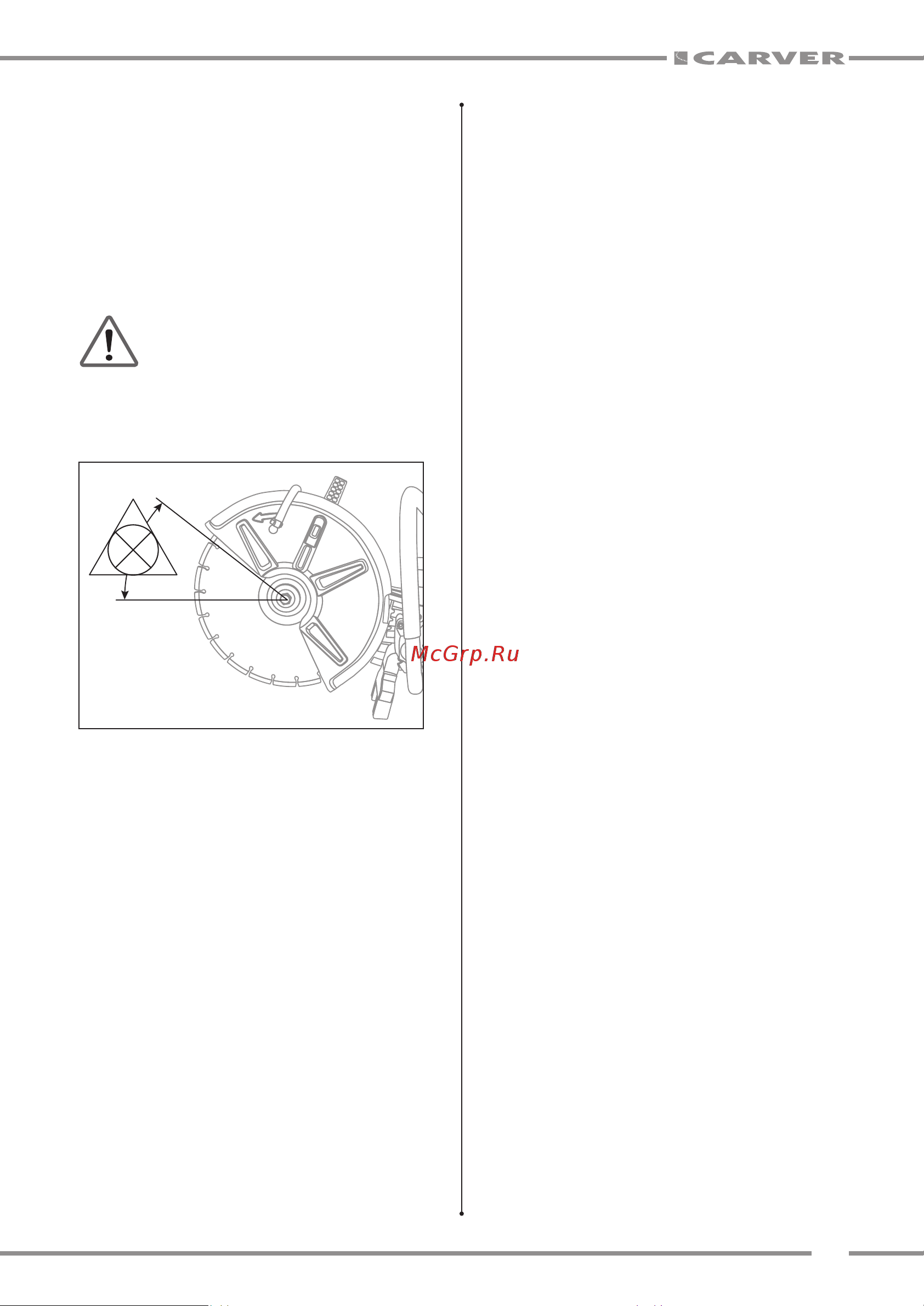 Carver gcs 58/300 (3,2 л.с., d300/25,4, рез сухой/мокрый, easystart) 01.004.00058 Руководство по эксплуатации онлайн [21/28] 834293