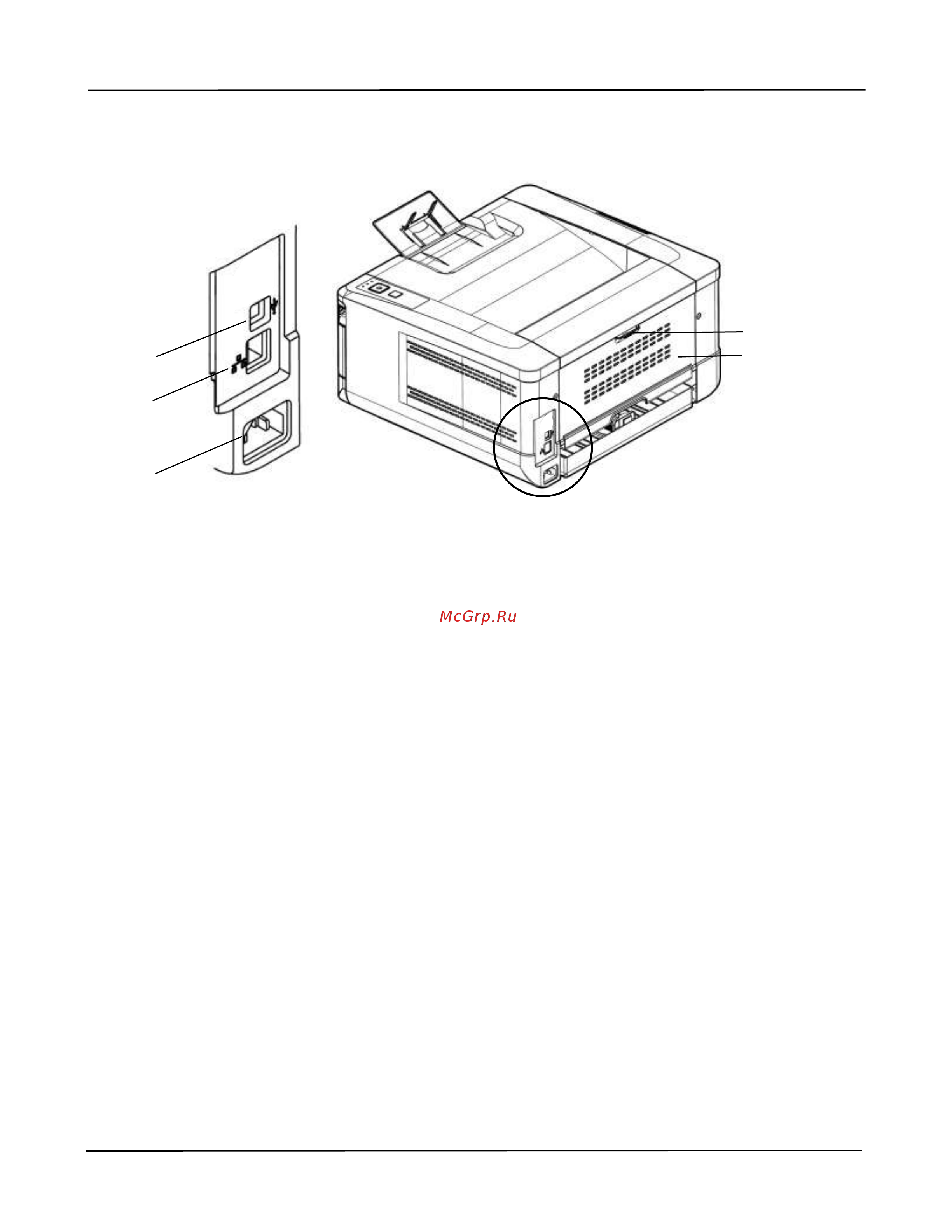 Avision AP30A [13/118] Вид сзади