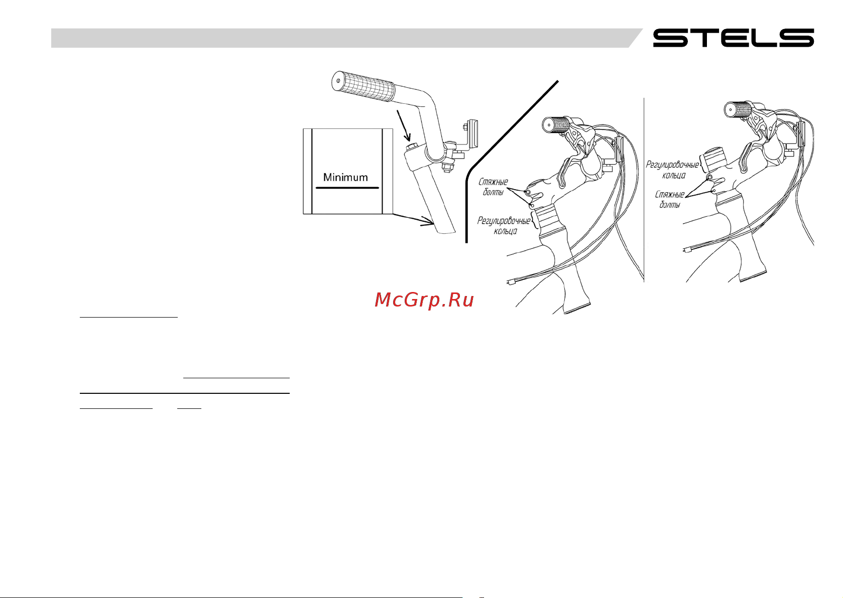 STELS Miss-5000 MD 26