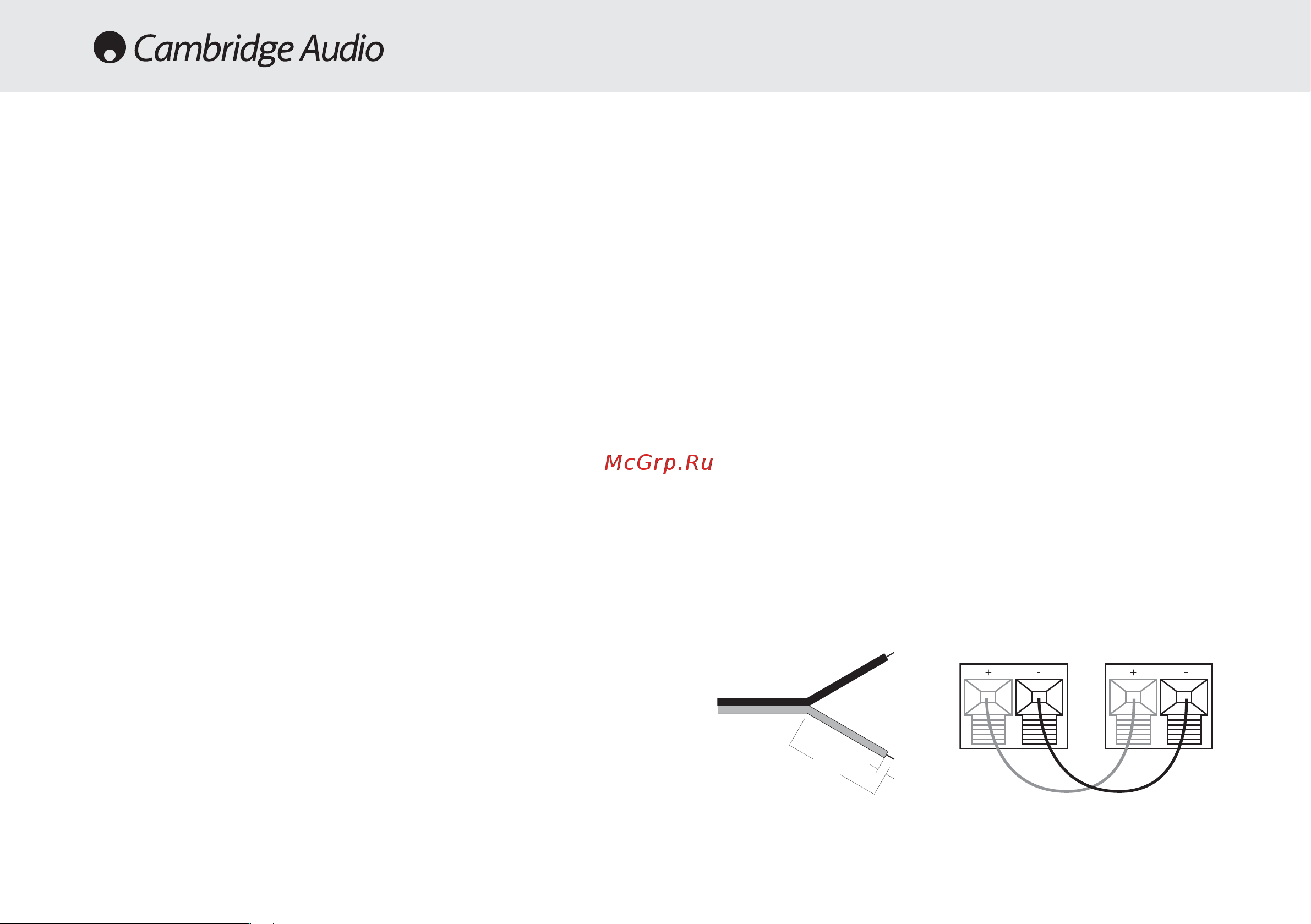 Cambridge Audio Incognito 1 [57/59] Подсоединение ss10