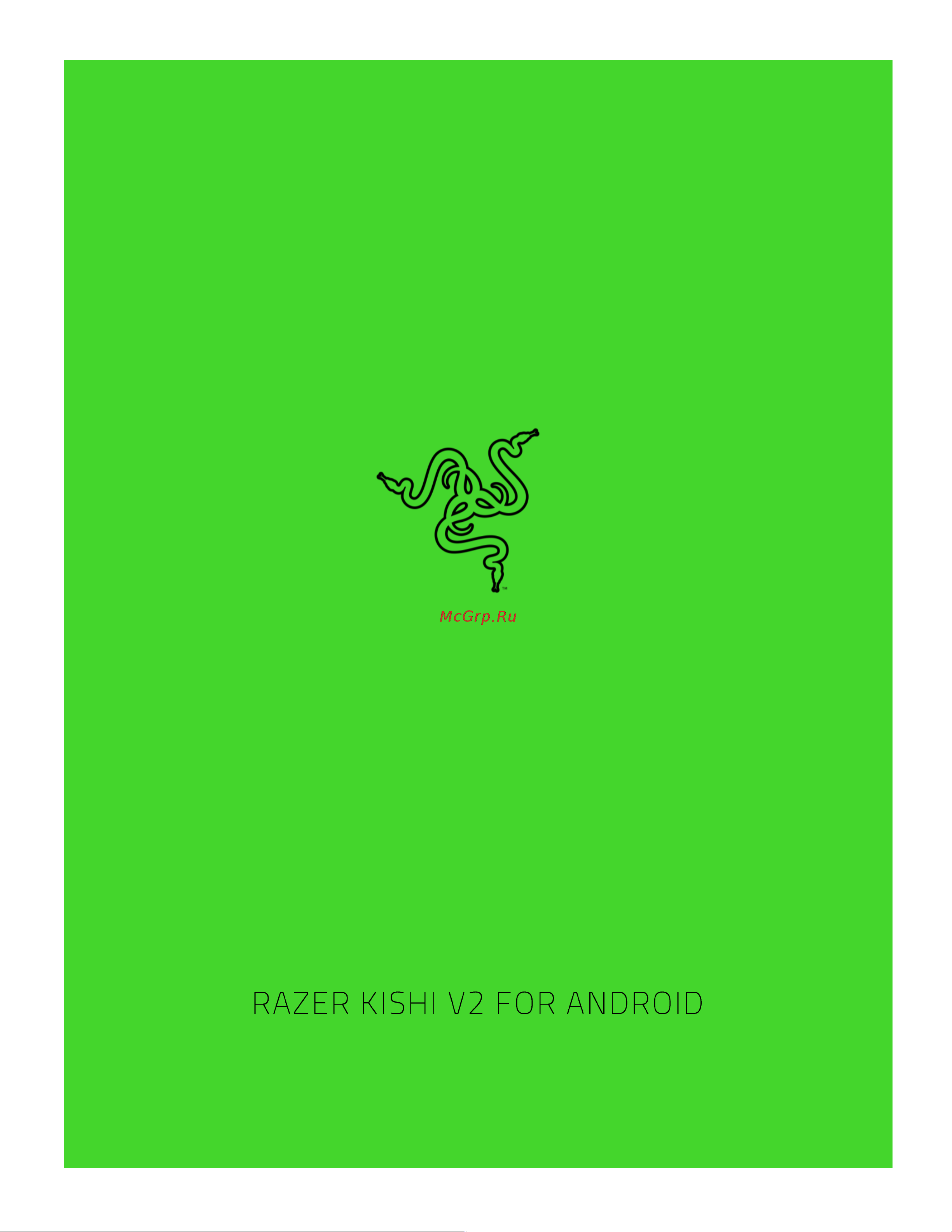 Razer RZ06-04180100-R3M1 Руководство по эксплуатации онлайн