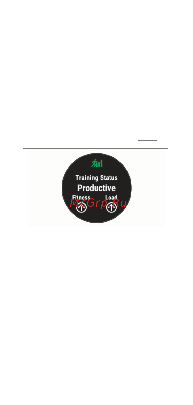 Garmin Forerunner 745 Neo Tropic [87/191] Статус тренировки