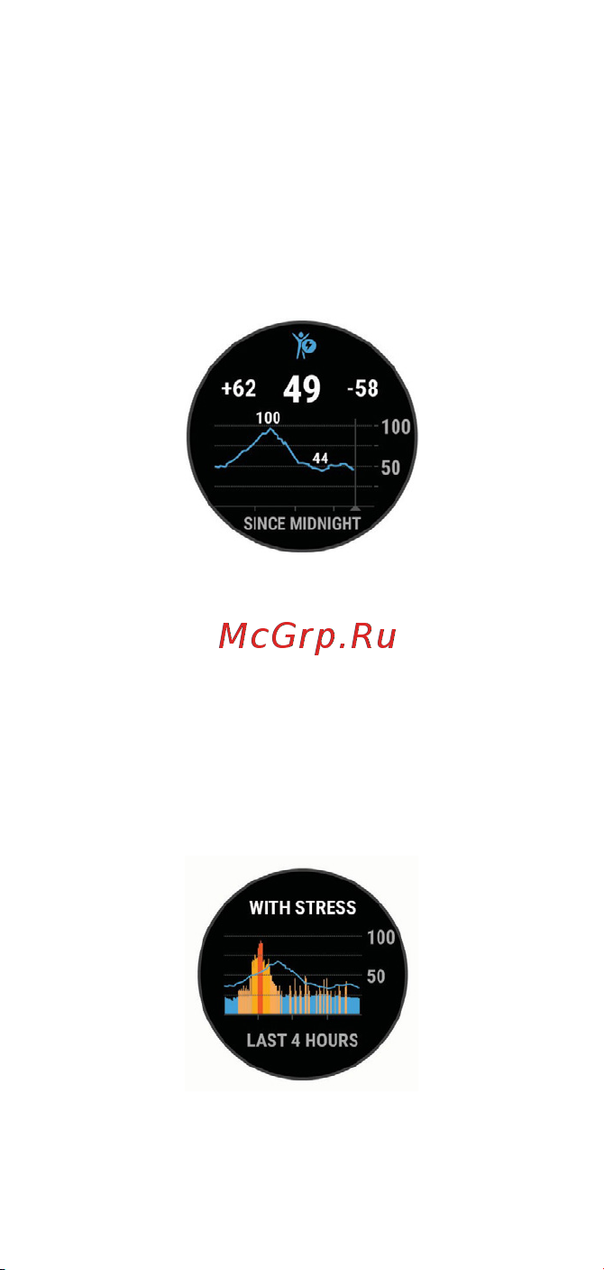Garmin Forerunner 745 Neo Tropic Руководство по эксплуатации онлайн [99/191] 807330