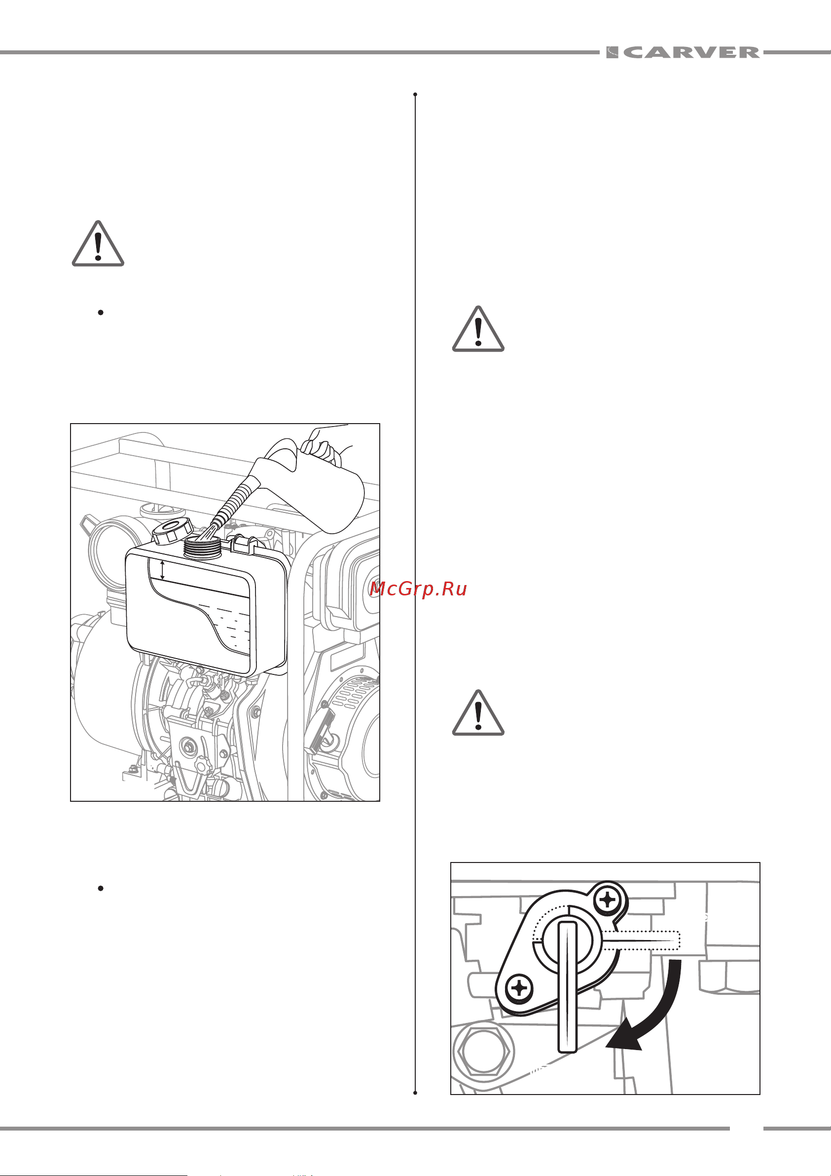 Carver CGP 6080-DIESEL Руководство по эксплуатации онлайн [11/20] 807340