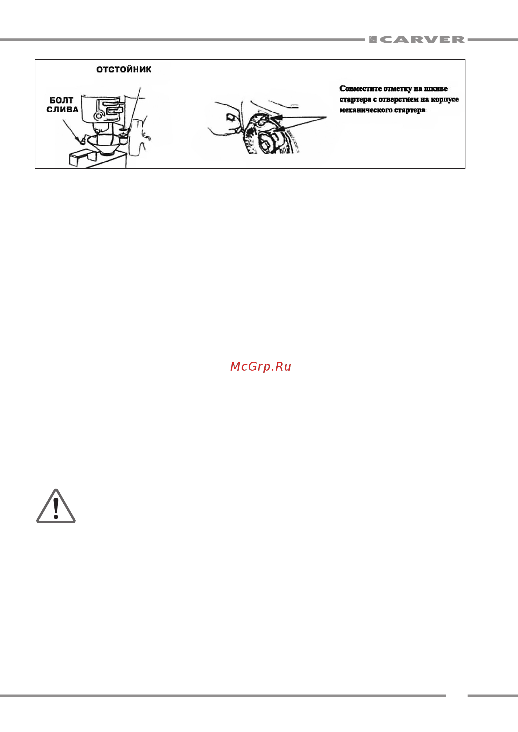 Carver CGP 99100 E Руководство по эксплуатации онлайн [21/24] 807341