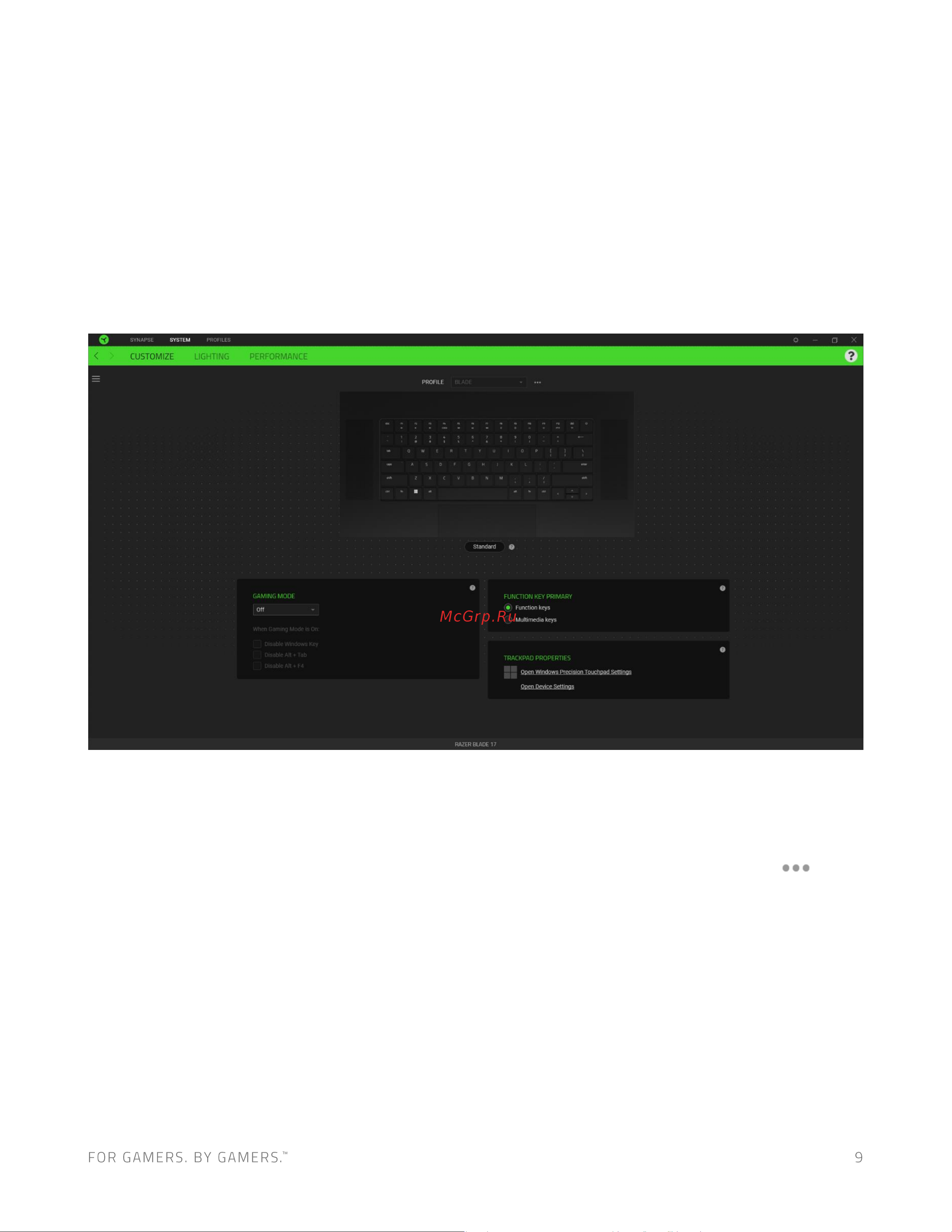 Razer Blade 17 D8-NT (RZ09-0423PEC3-R3E1) [10/25] Вкладка система