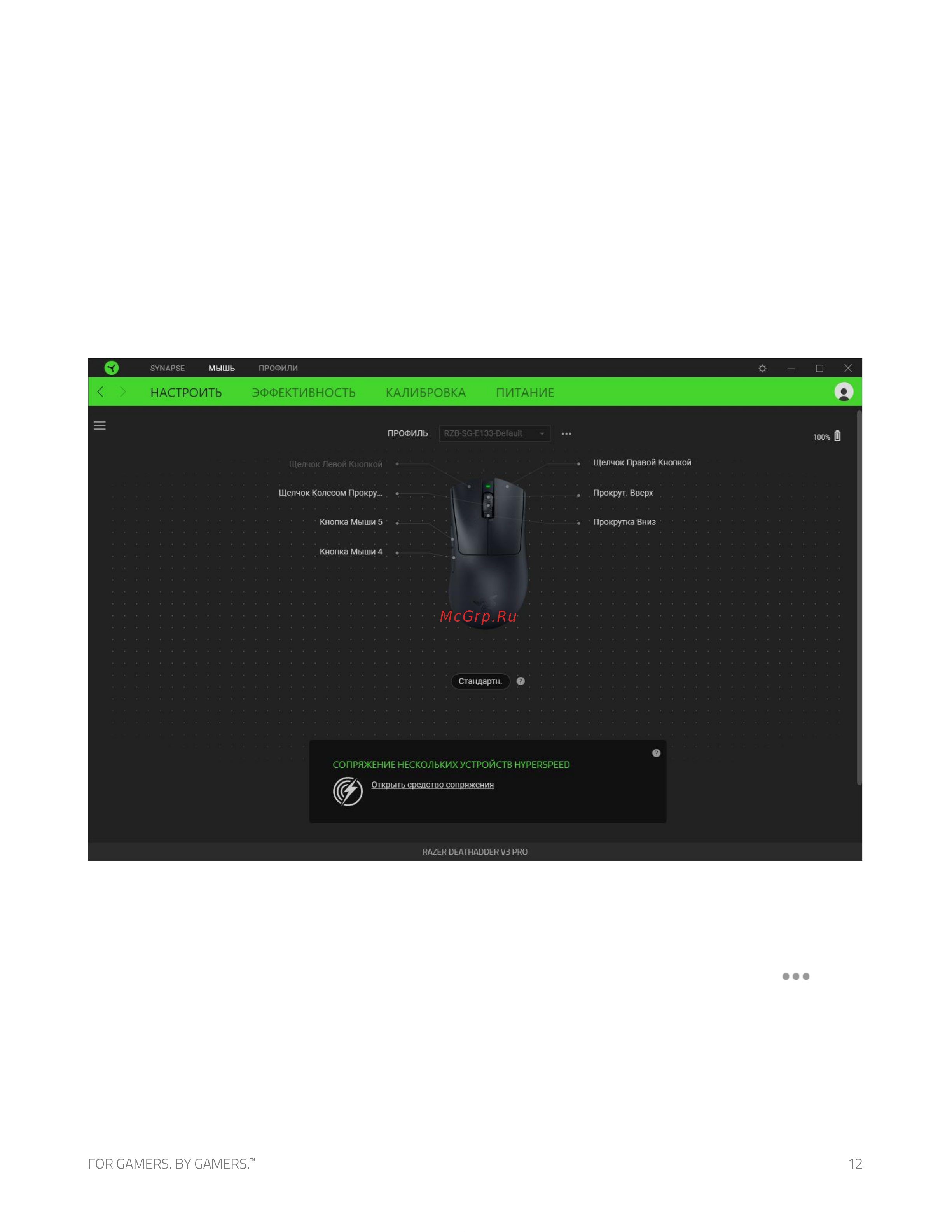 Razer DeathAdder V3 Pro Black (RZ01-04630100-R3G1) [13/0] Вкладка мышь