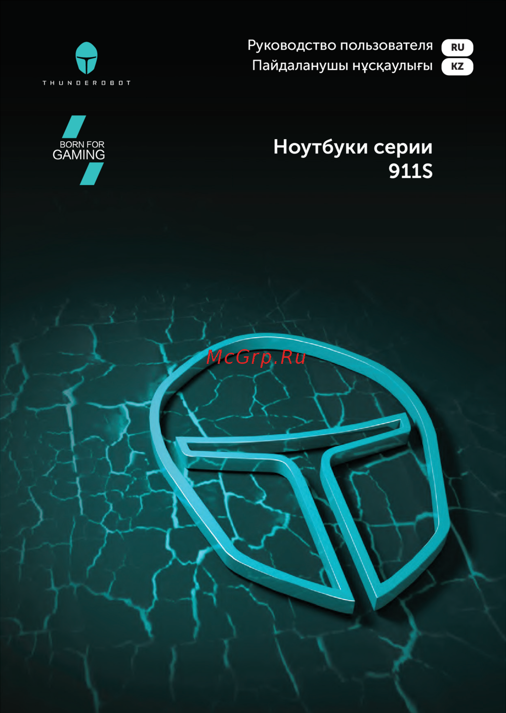 Thunderobot 911 Plus Max XP/17.3"/Core i7-13620H/32/1TB/RTX 4070/Win/Grey Инструкция по эксплуатации