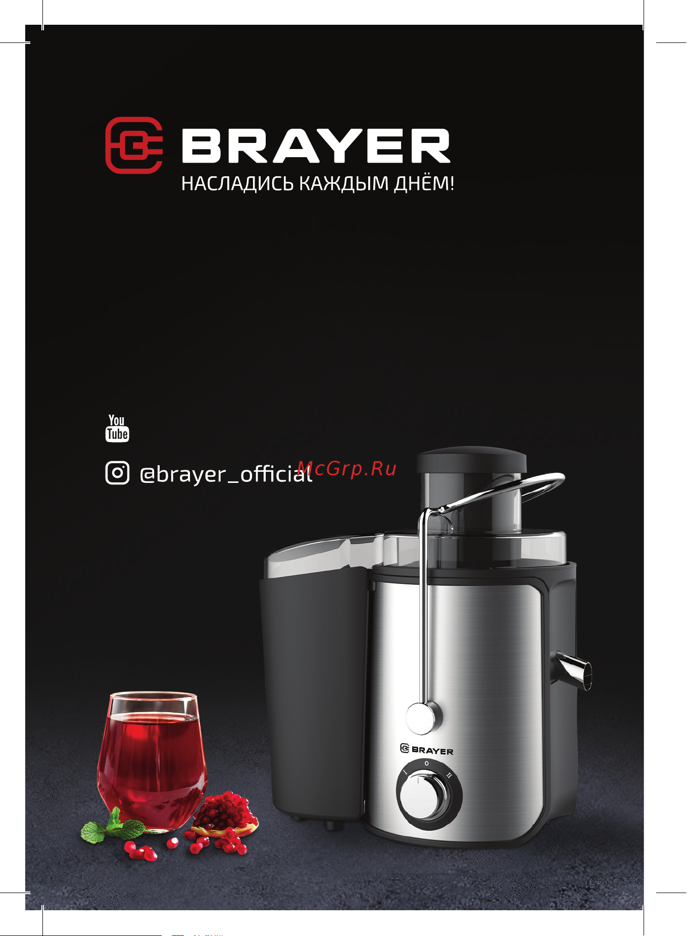 Brayer BR1711 Книга рецептов онлайн